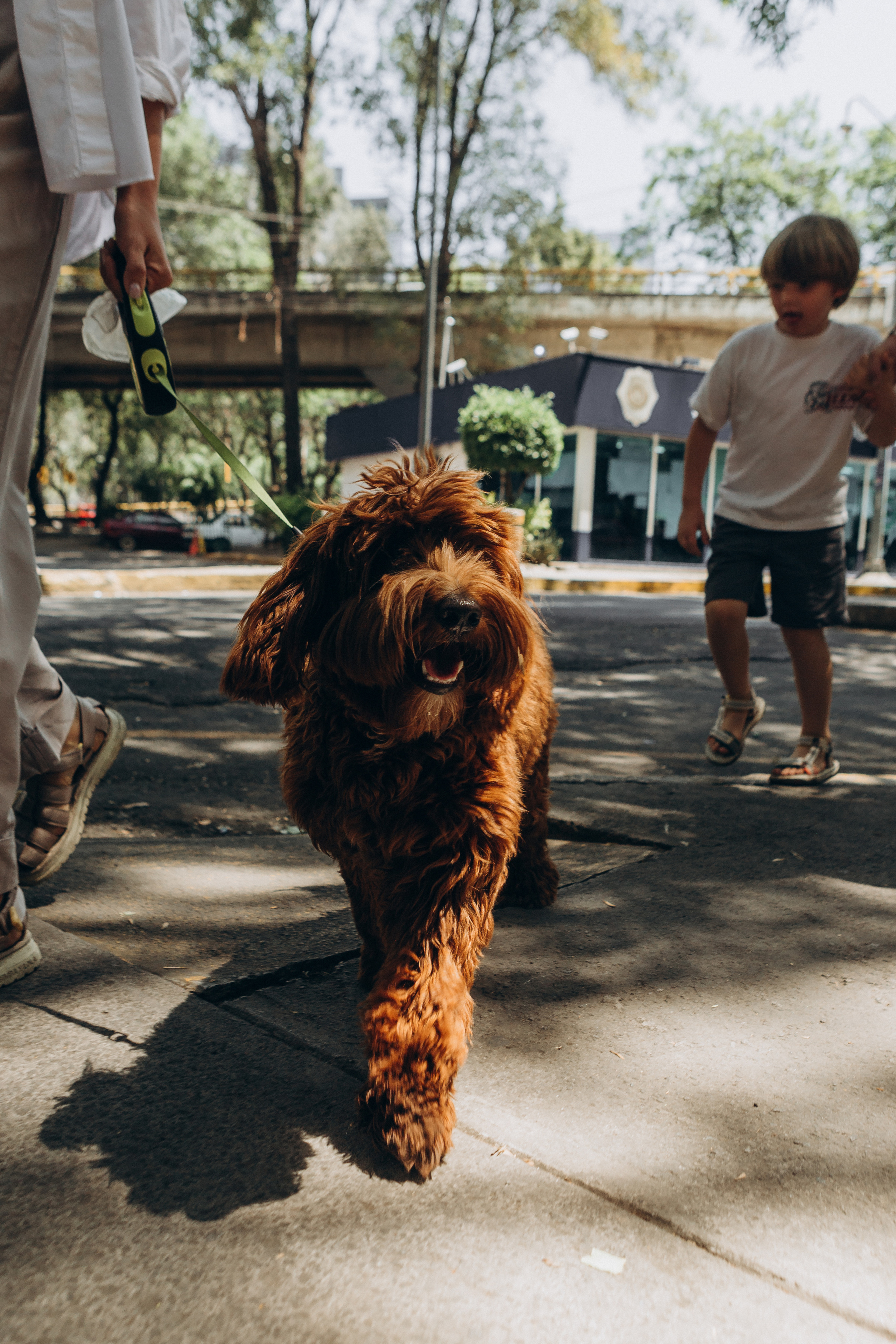 Марина, Илья, Федор и Бабл. Ирина Крохалева. Семейный фотограф в Екатеринбурге