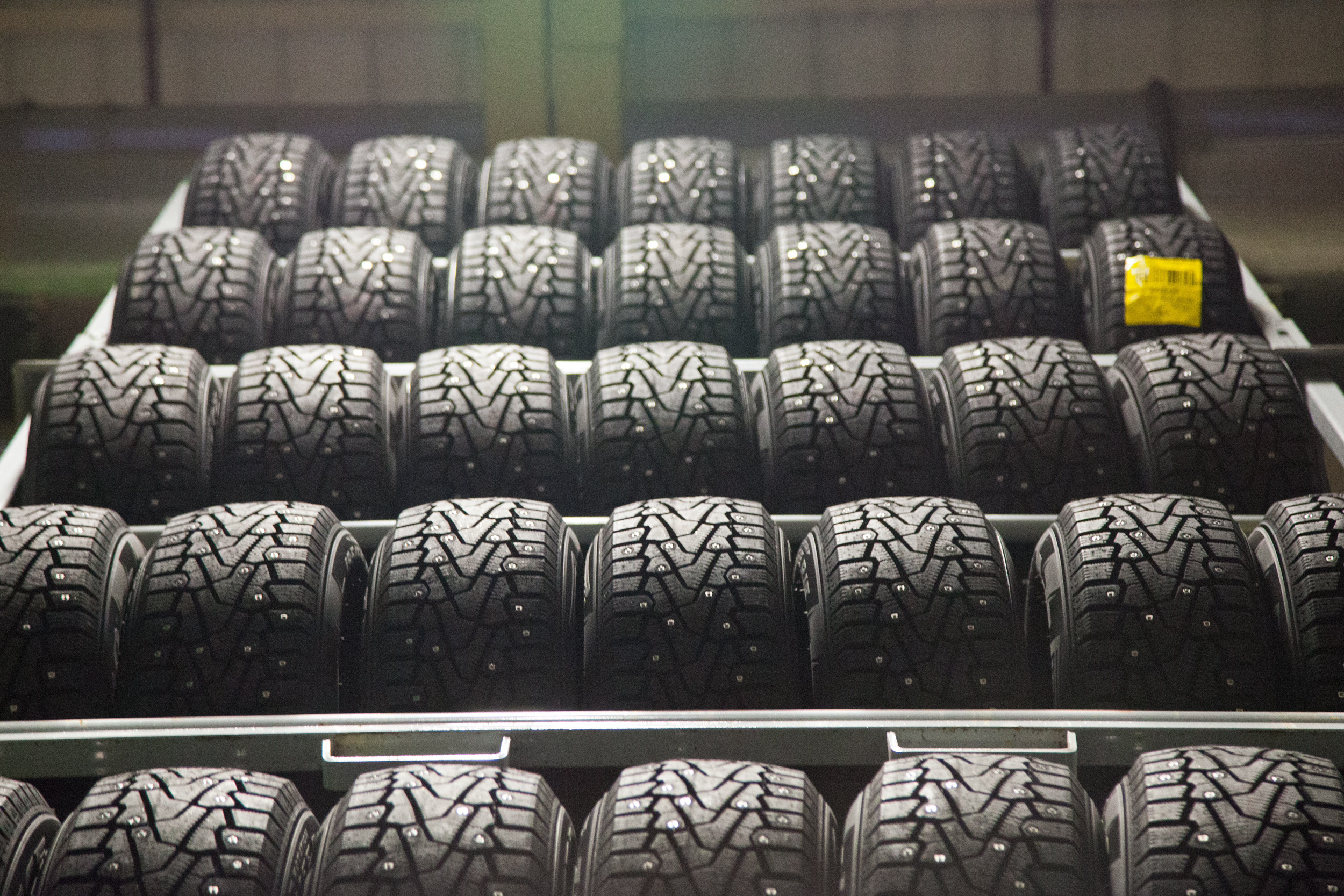 Corporative. Porto Photographer Kristina Brazhnikova