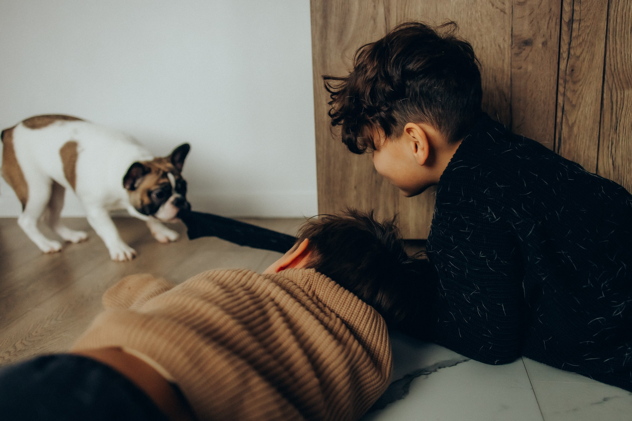 Руслан, Тимур и Луна. Семейный фотограф Москва