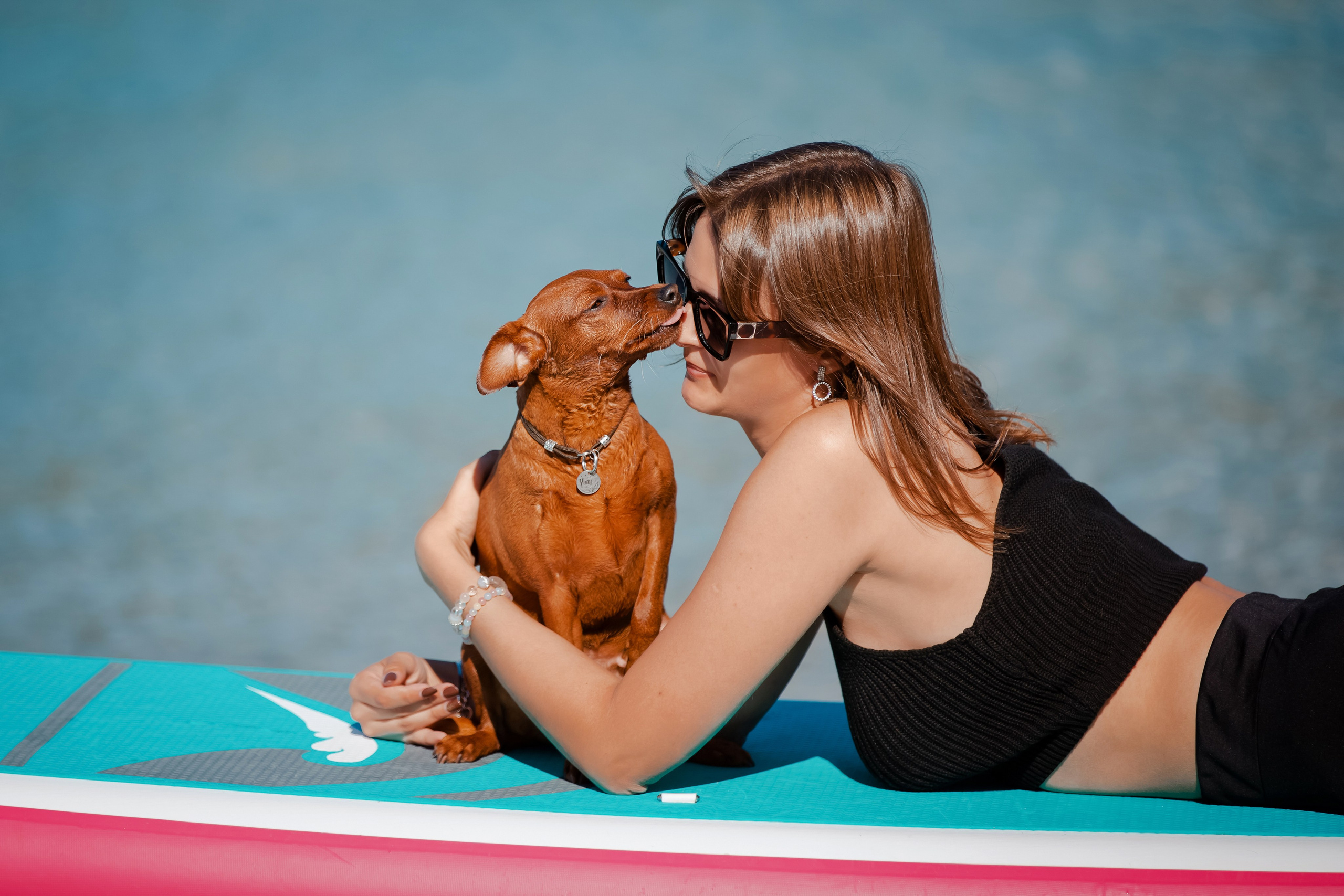 Цвергпинчер в Геленджике. Фотограф-анималист в Краснодаре Маша Мельникова