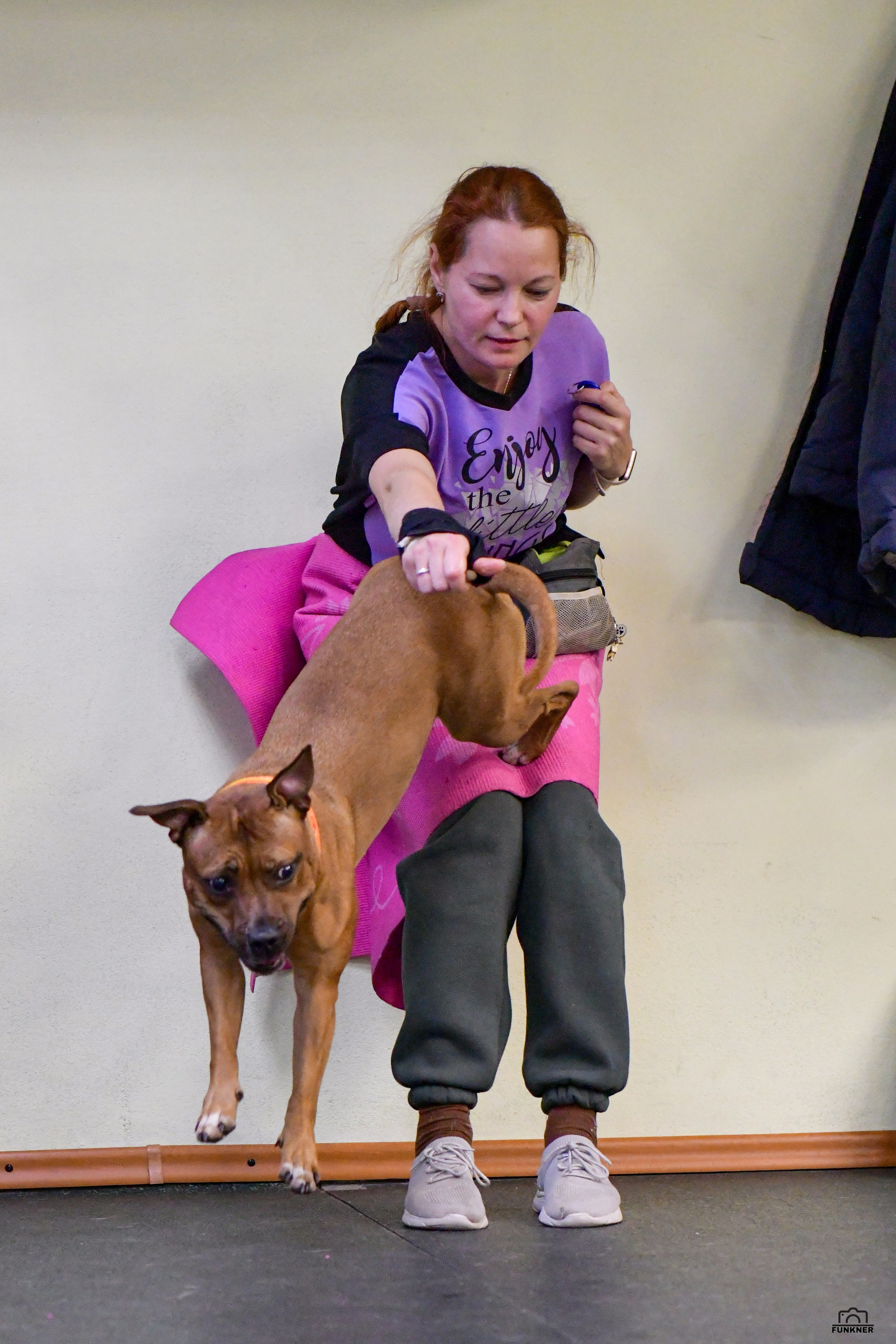 Кинологический клуб «Бодрый хвост». Свой взгляд через объектив