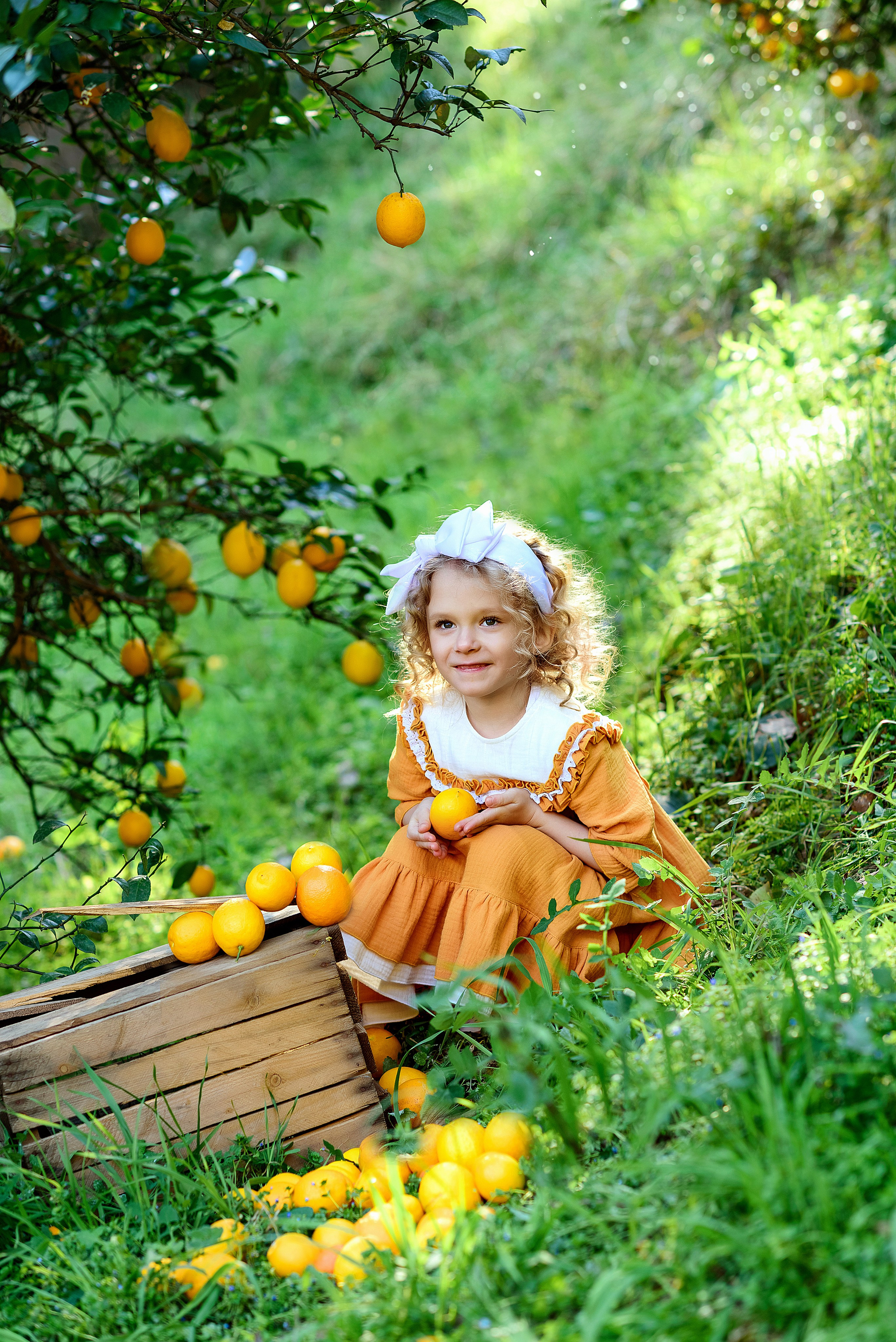 Мандариновая роща. Фотограф в Москве Lidiya_Li_Photo