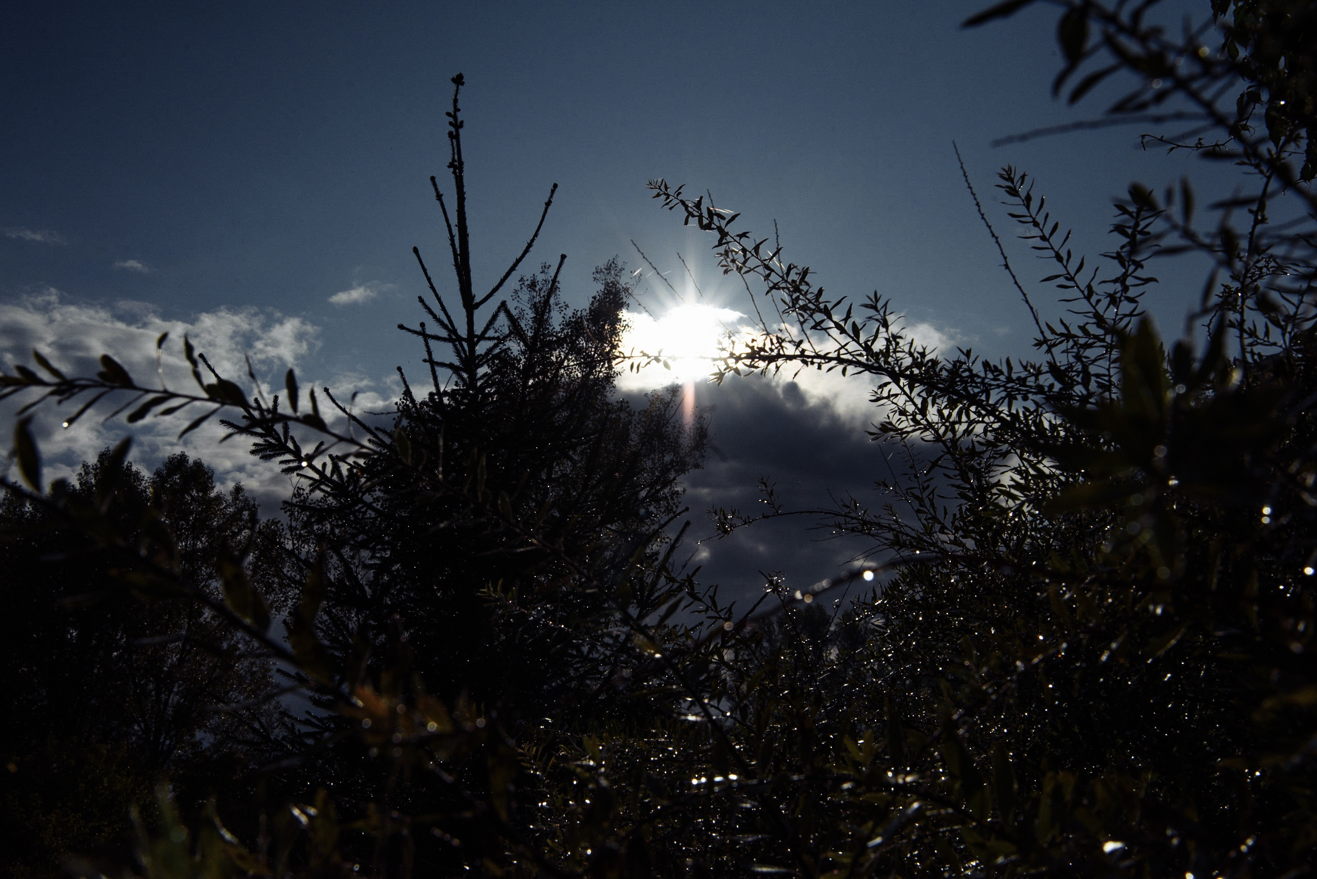 Максим и Мария. Свадебный и семейный фотограф в Уфе | Винс Константин | Фотопроекты