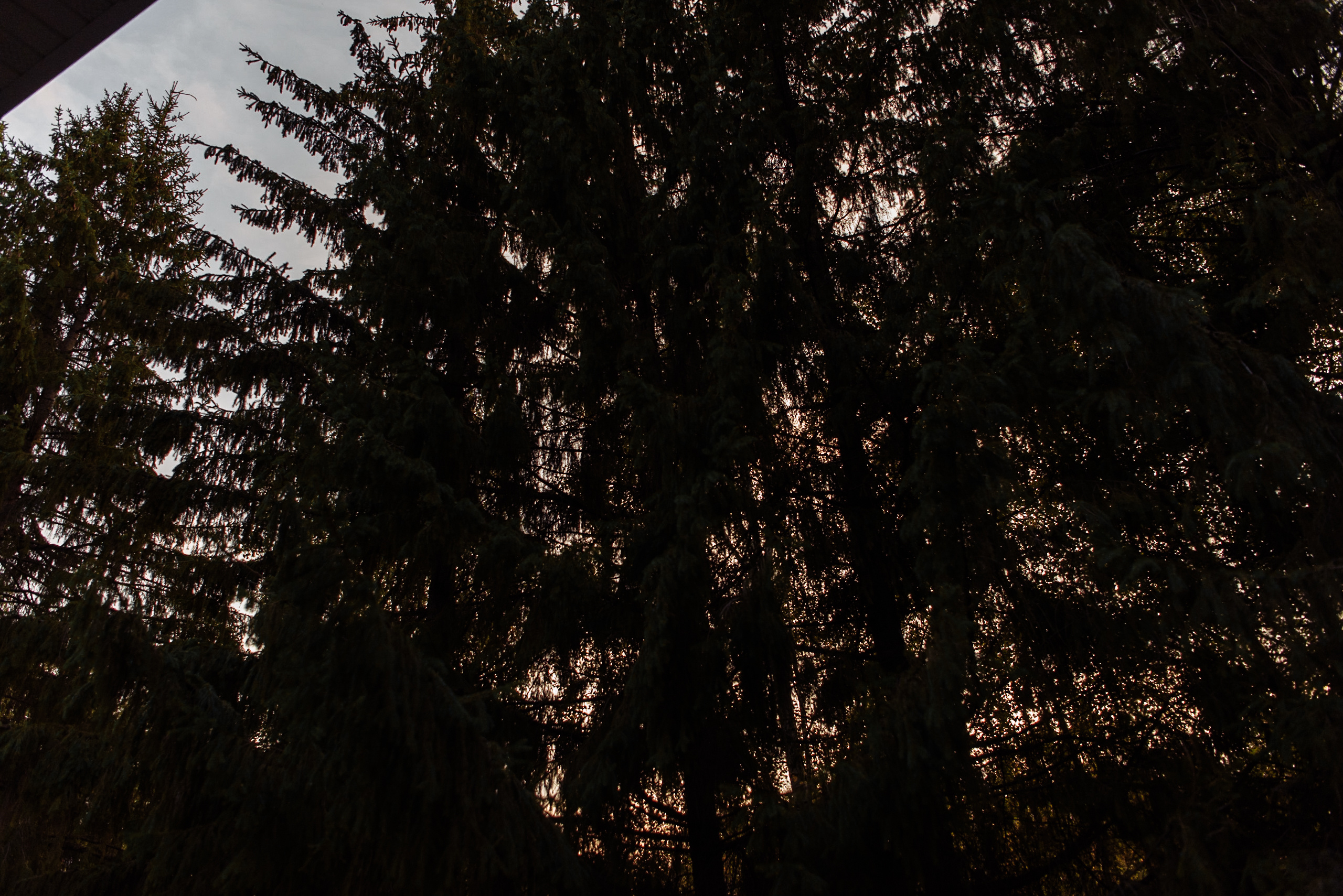 Максим и Мария. Свадебный и семейный фотограф в Уфе | Винс Константин | Фотопроекты