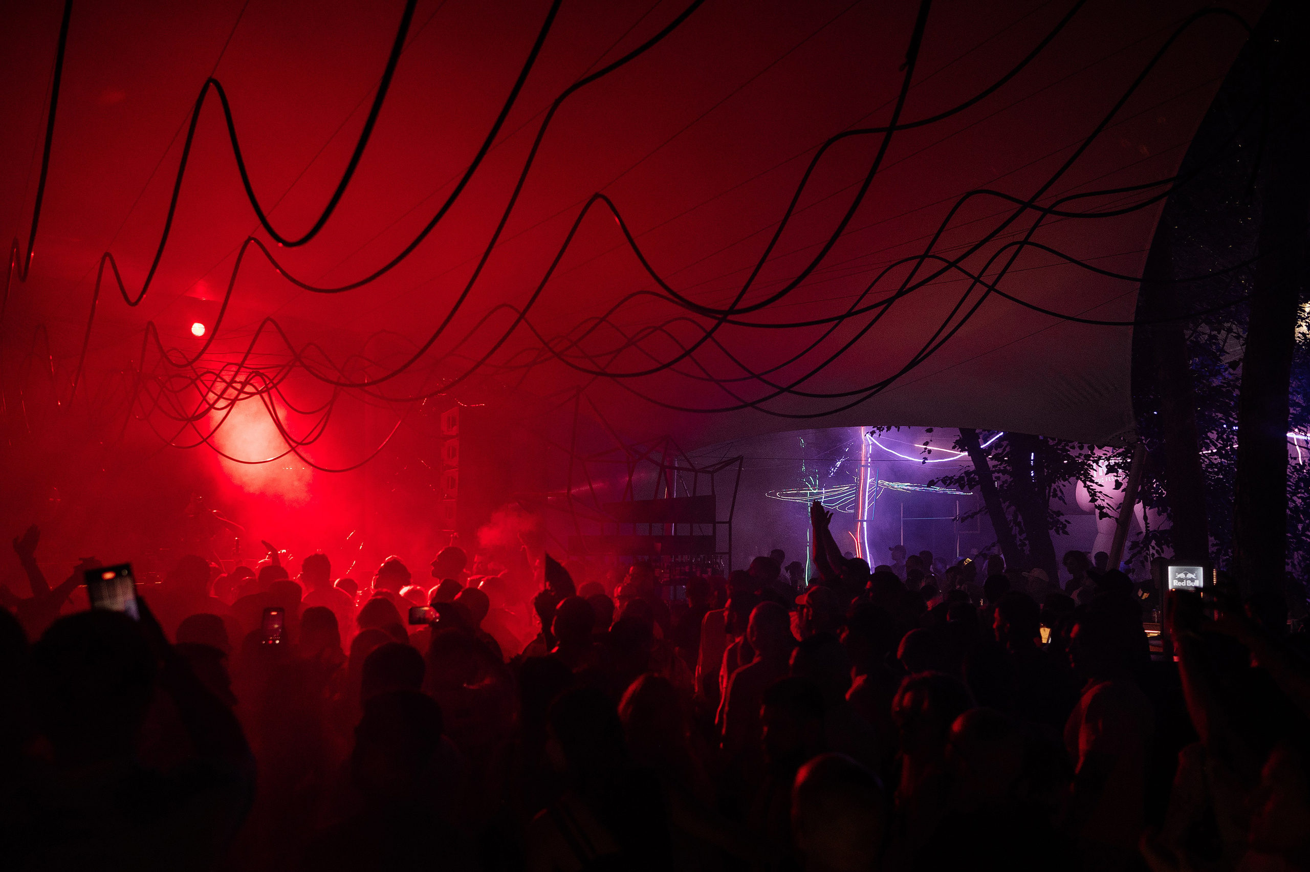 Embargo TRIP Festival 2026. Свадебный и семейный фотограф в Ростове-на-Дону Алина Астахова