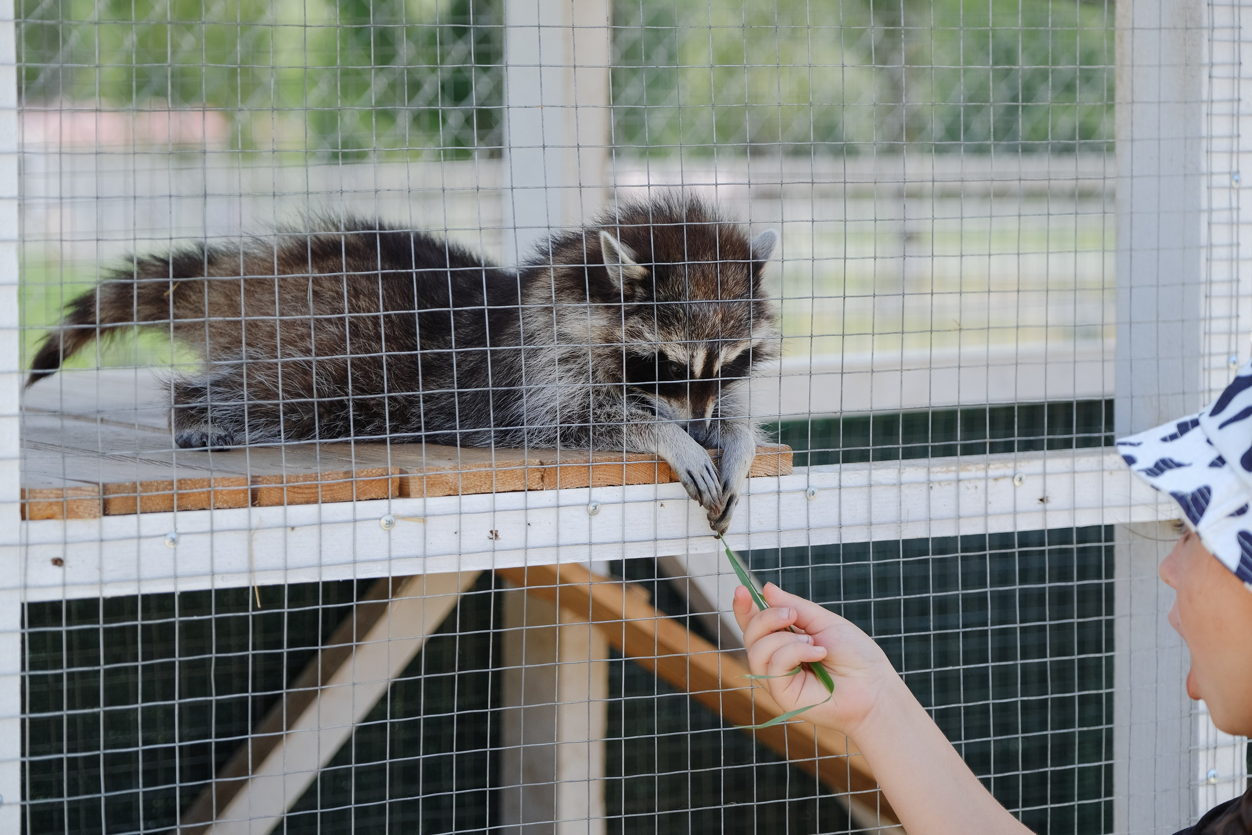 Репортаж на ферме. Профессиональная фотосъемка в Крыму. Натуральные эмоции и живые кадры. Забронируйте дату прямо сейчас!