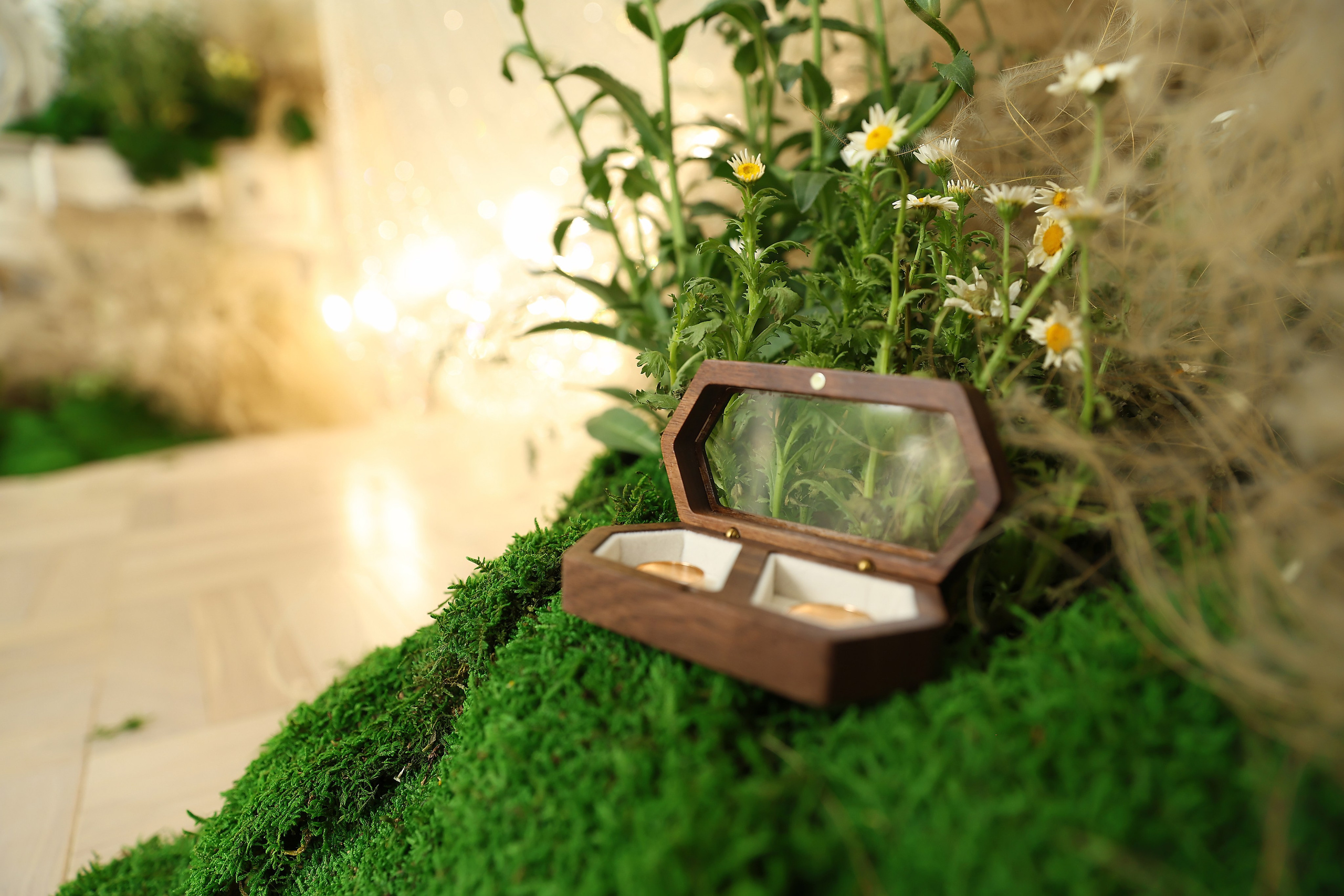 Елизавета & Виктор. Яна Чхан — Фотограф в Донецке и не только