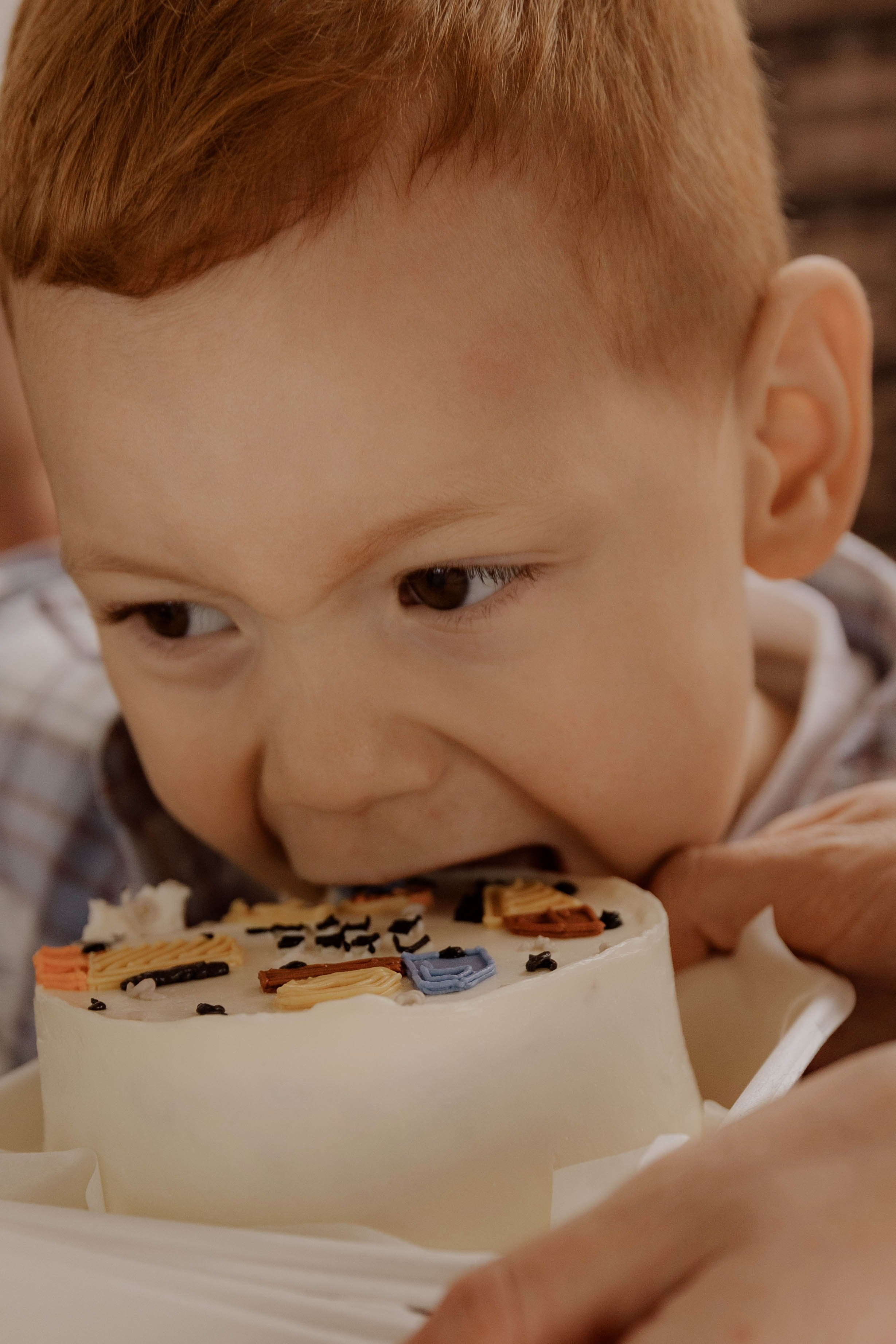 Детский ДР. Льву 3 года. Фотограф Юсова Мария