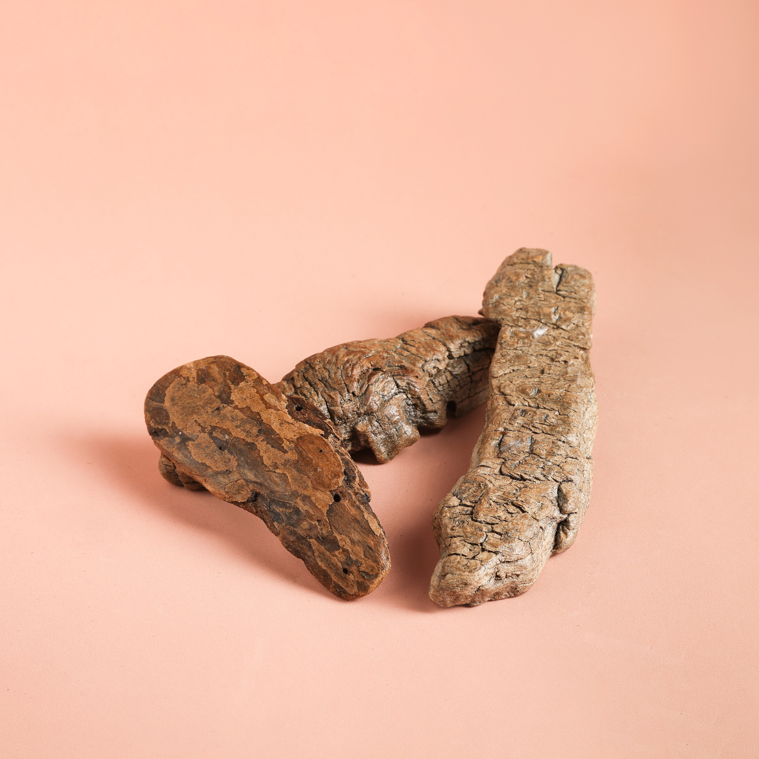 ДрифтВУД. КОРЯГИ