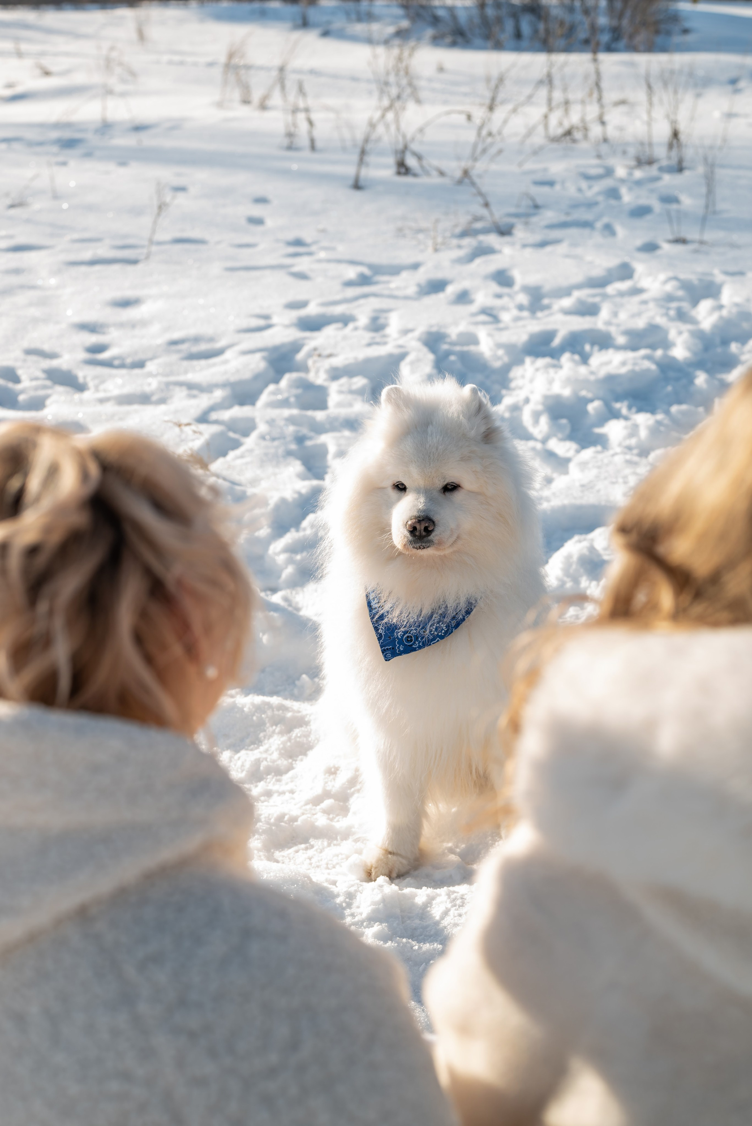 Фотопроект с Платоном и машиной на улице. Фотограф в городе Салават