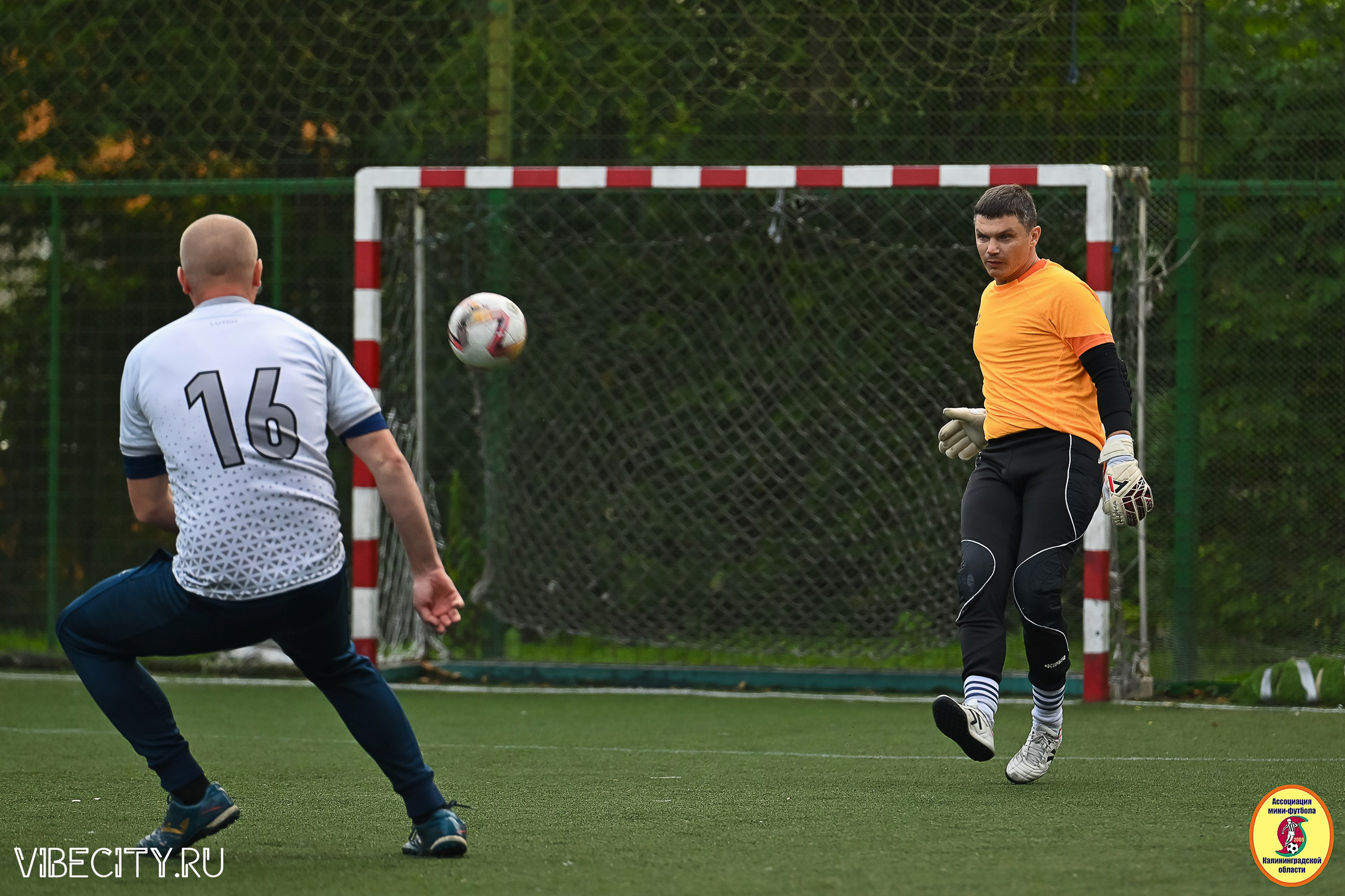 ИГРЫ ПЛЕЙ-ОФФ ПЕРВОГО ДИВИЗИОНА МИНИ-ФУТБОЛЬНОЙ ЛИГИ. VIBECITY.RU Вайб Сити Ру Фоторепортажи Фотоотчеты Калининград