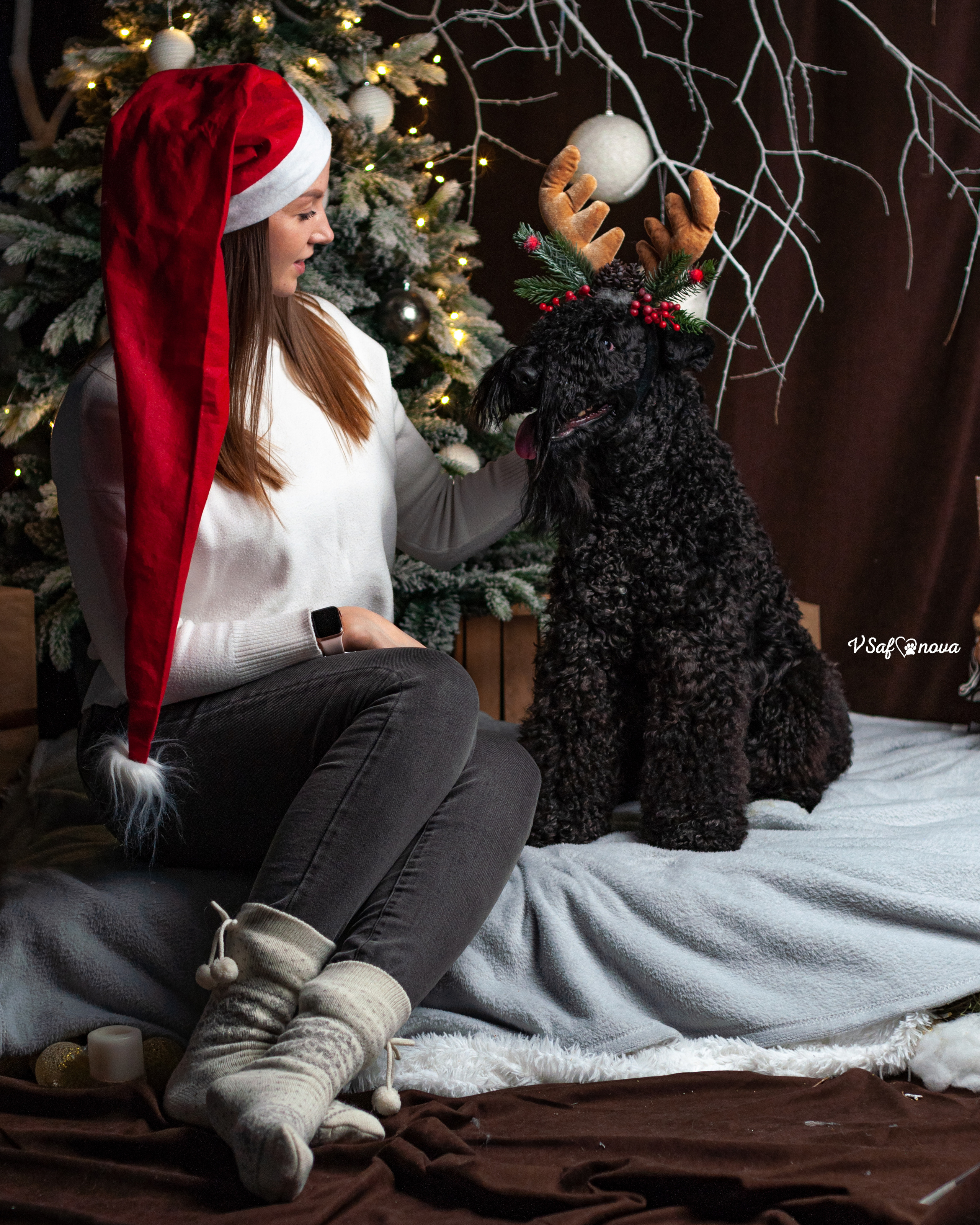 Гоша и Аня. Фотограф анималист Благовещенск. Сафонова Виктория