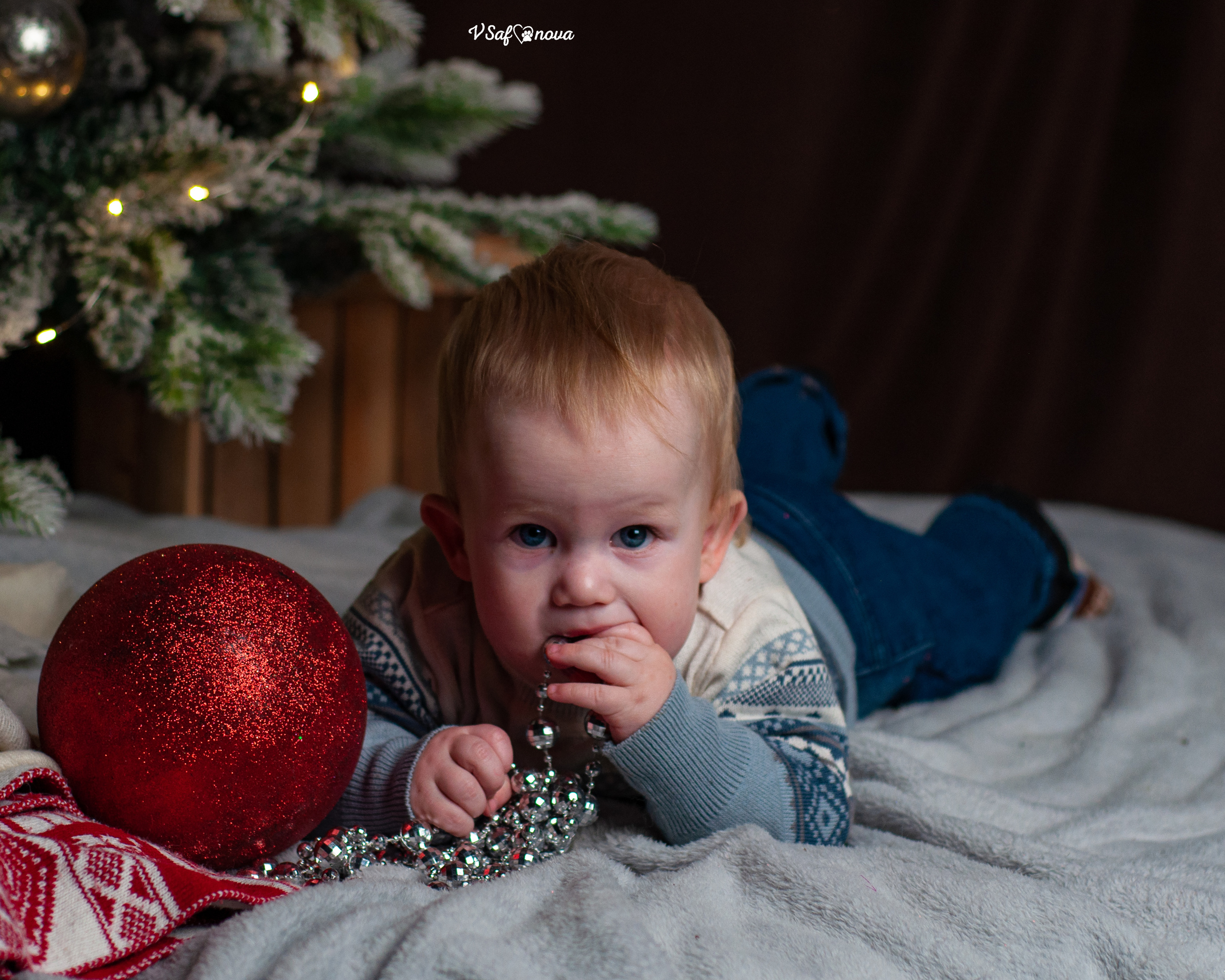 Ёма и Кирюша. Фотограф анималист Благовещенск. Сафонова Виктория