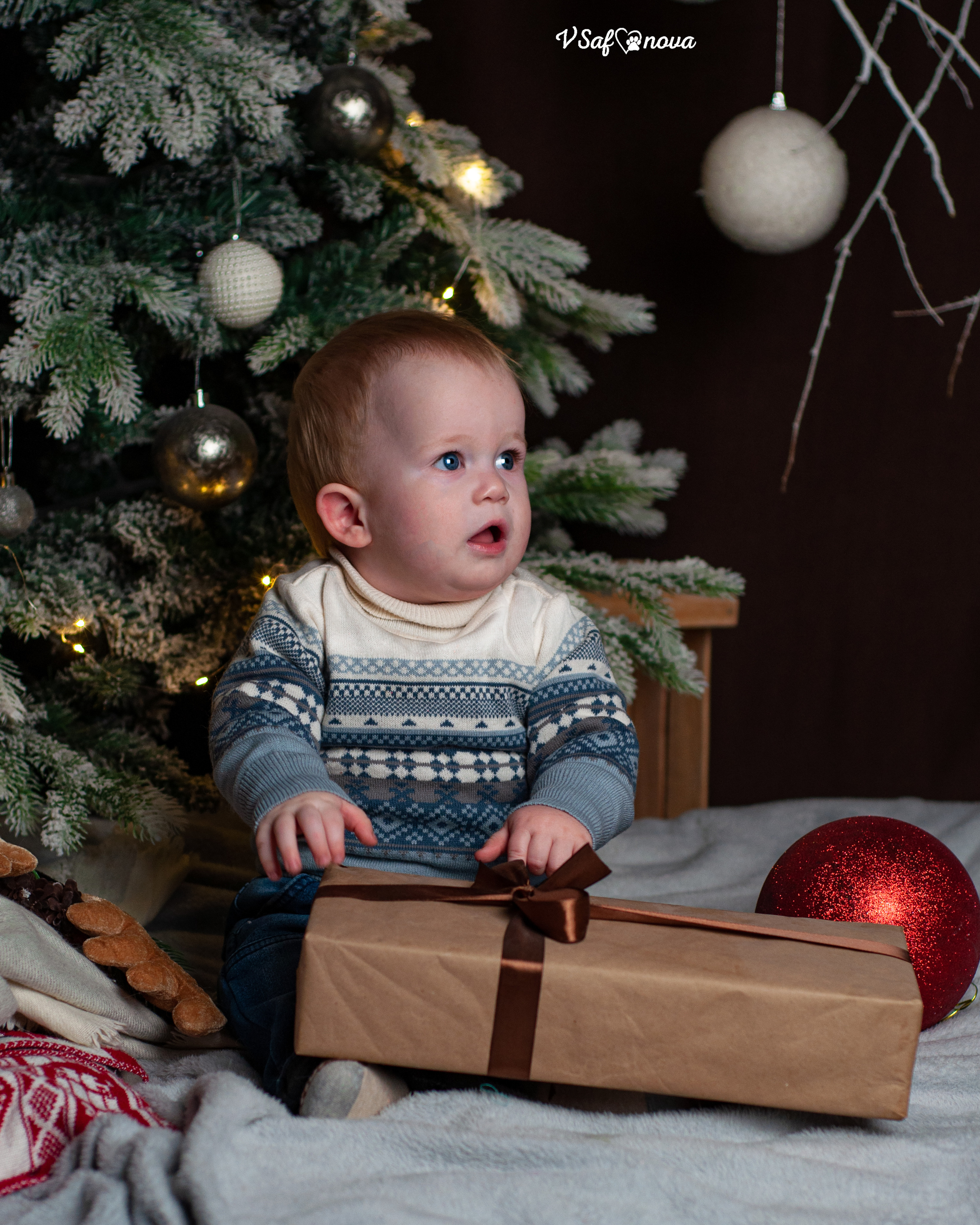 Ёма и Кирюша. Фотограф анималист Благовещенск. Сафонова Виктория