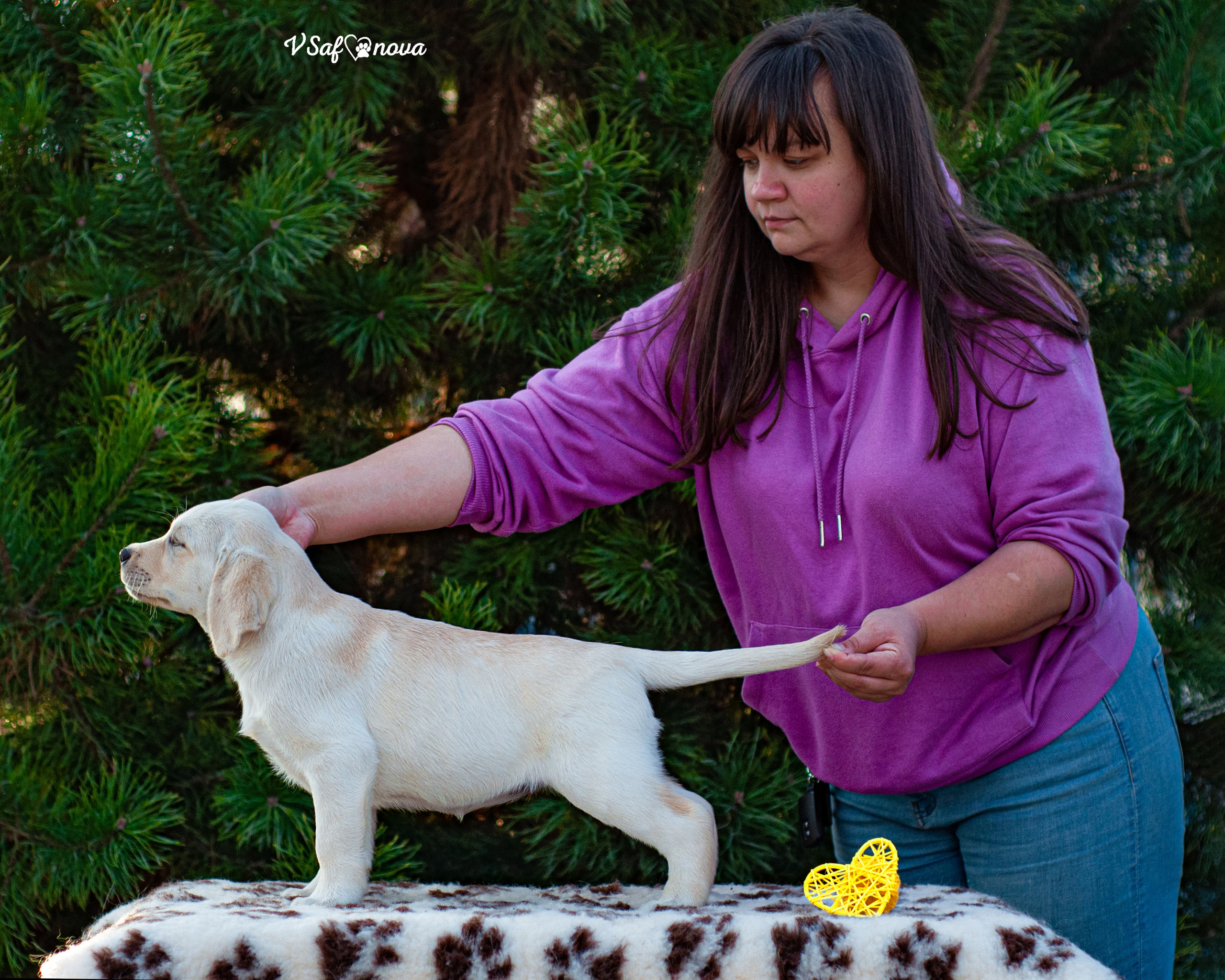 Лабродорчики 26.09.2021. Фотограф анималист Благовещенск. Сафонова Виктория