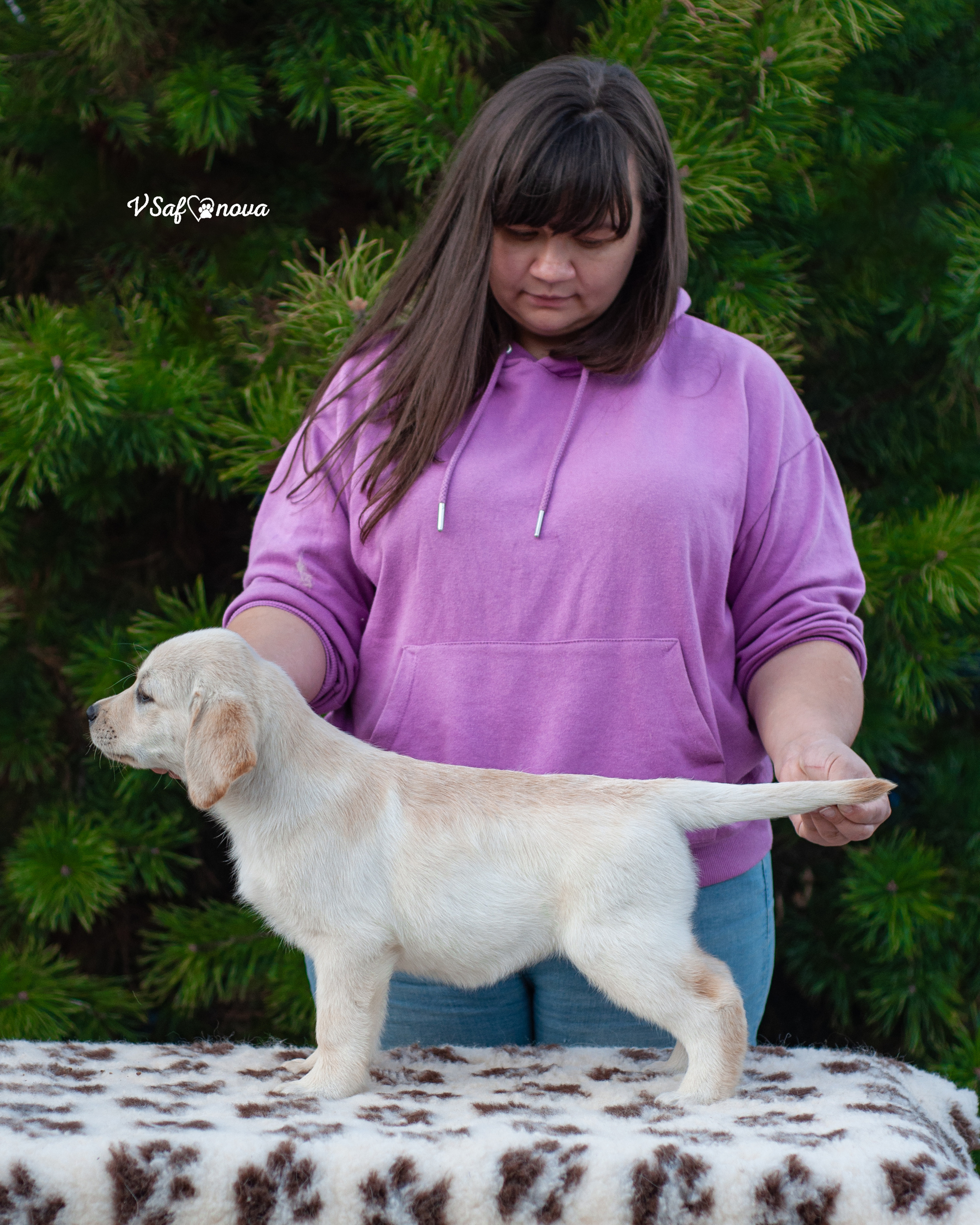 Лабродорчики 26.09.2021. Фотограф анималист Благовещенск. Сафонова Виктория