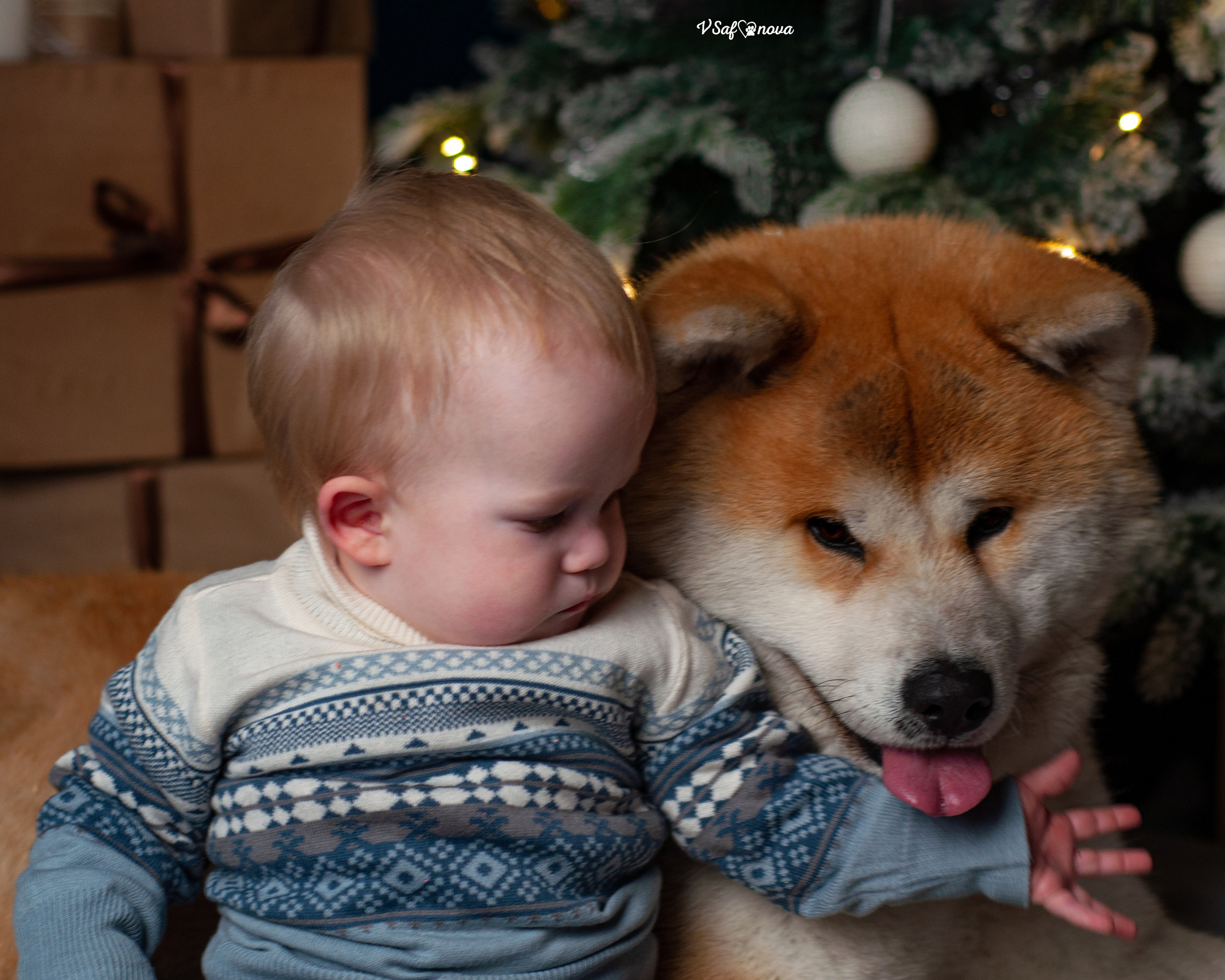 Ёма и Кирюша. Фотограф анималист Благовещенск. Сафонова Виктория