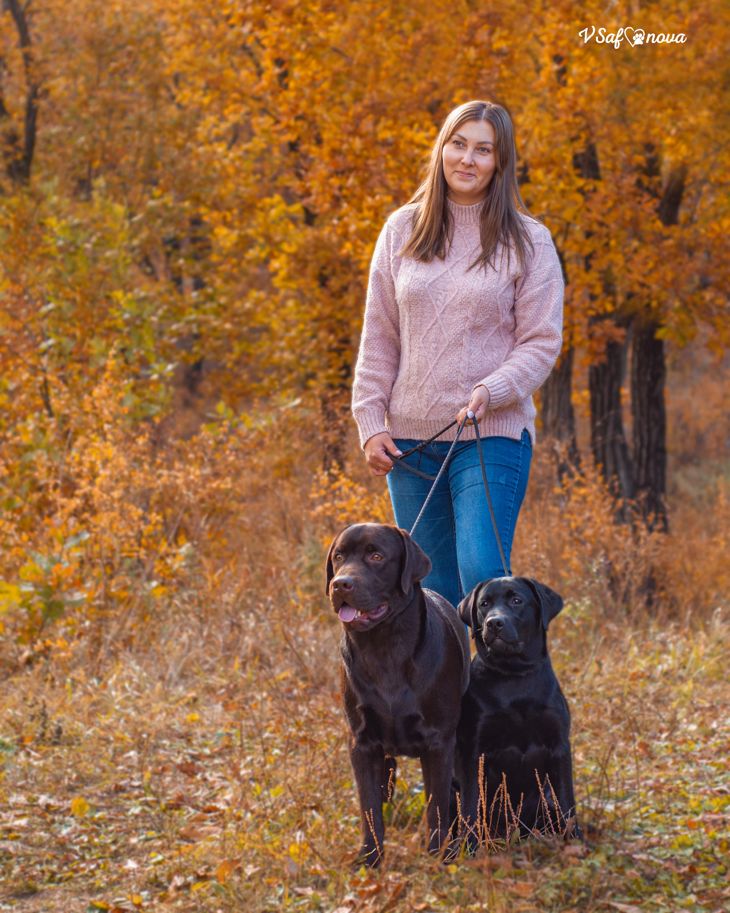 Саша и лабрадоры 03.10.2021. Фотограф анималист Благовещенск. Сафонова Виктория
