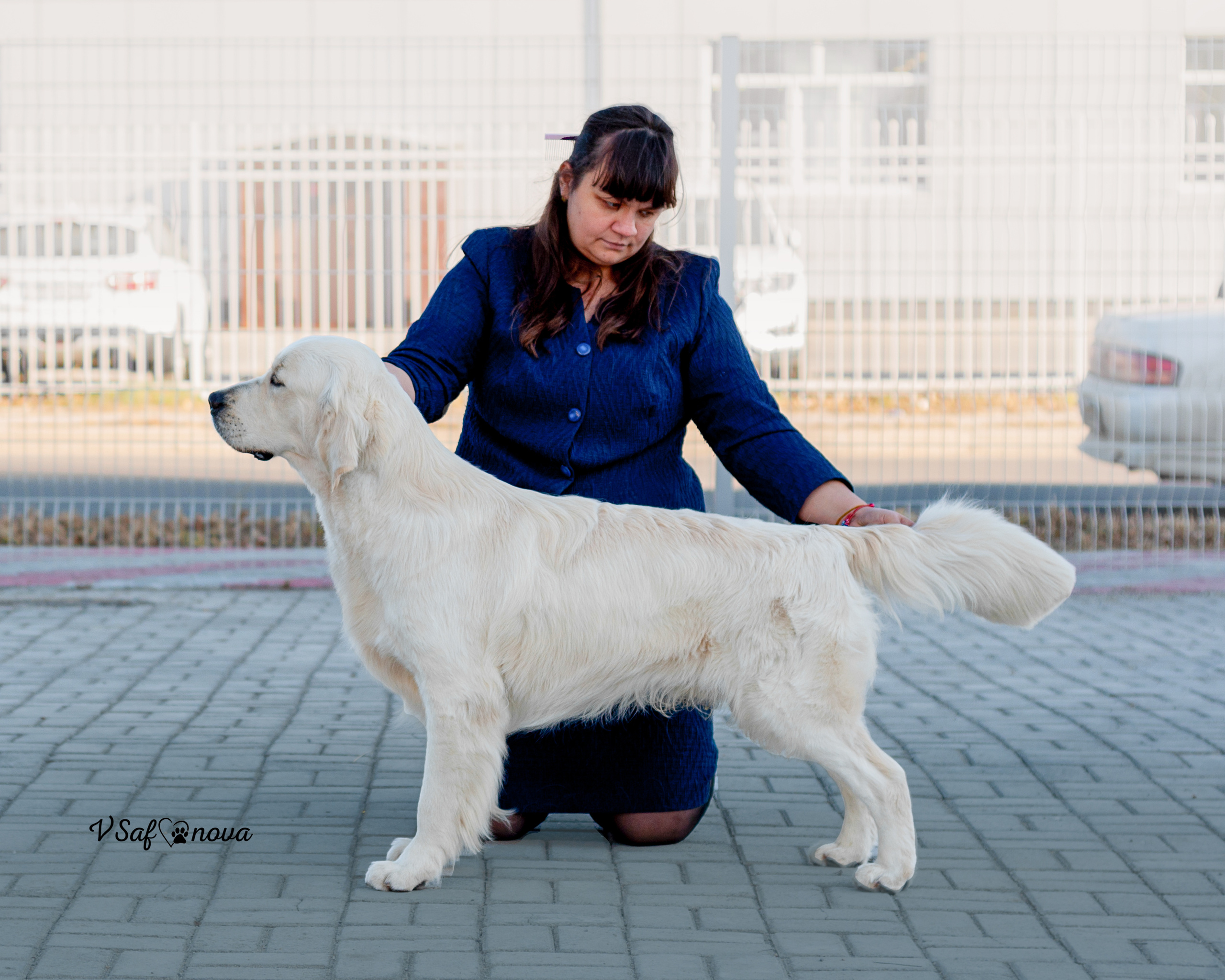24 октября 2021 Благовещенск. Фотограф анималист Благовещенск. Сафонова Виктория