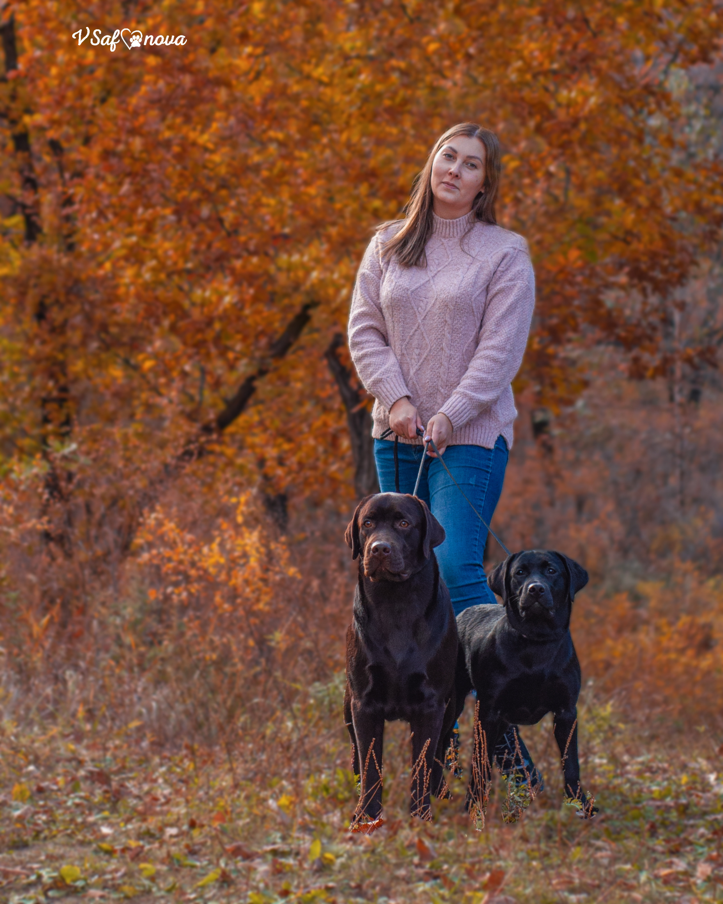 Саша и лабрадоры 03.10.2021. Фотограф анималист Благовещенск. Сафонова Виктория