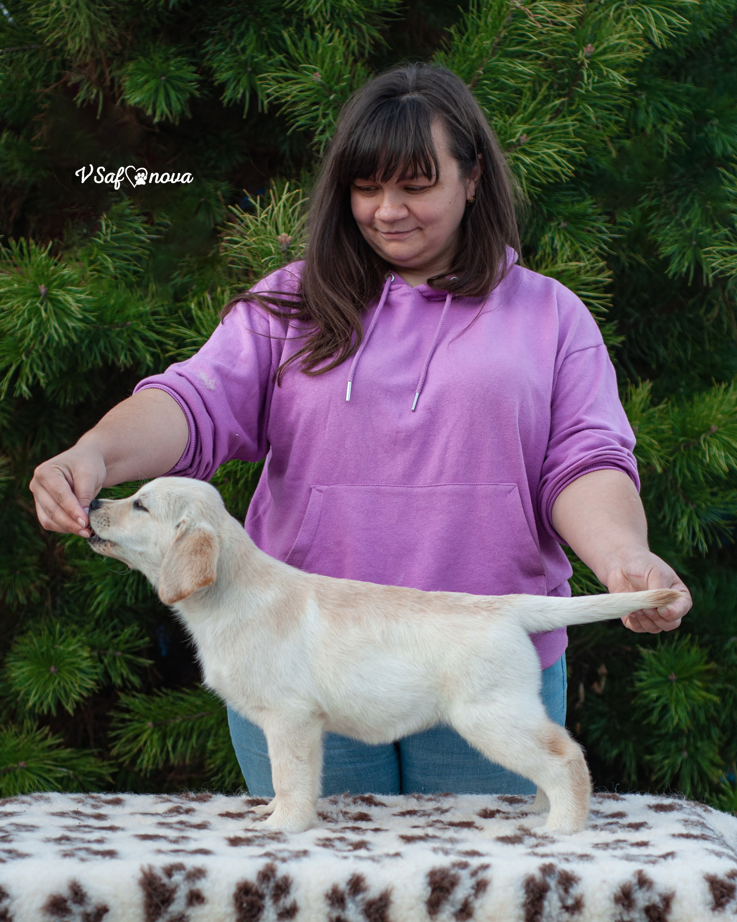 Лабродорчики 26.09.2021. Фотограф анималист Благовещенск. Сафонова Виктория