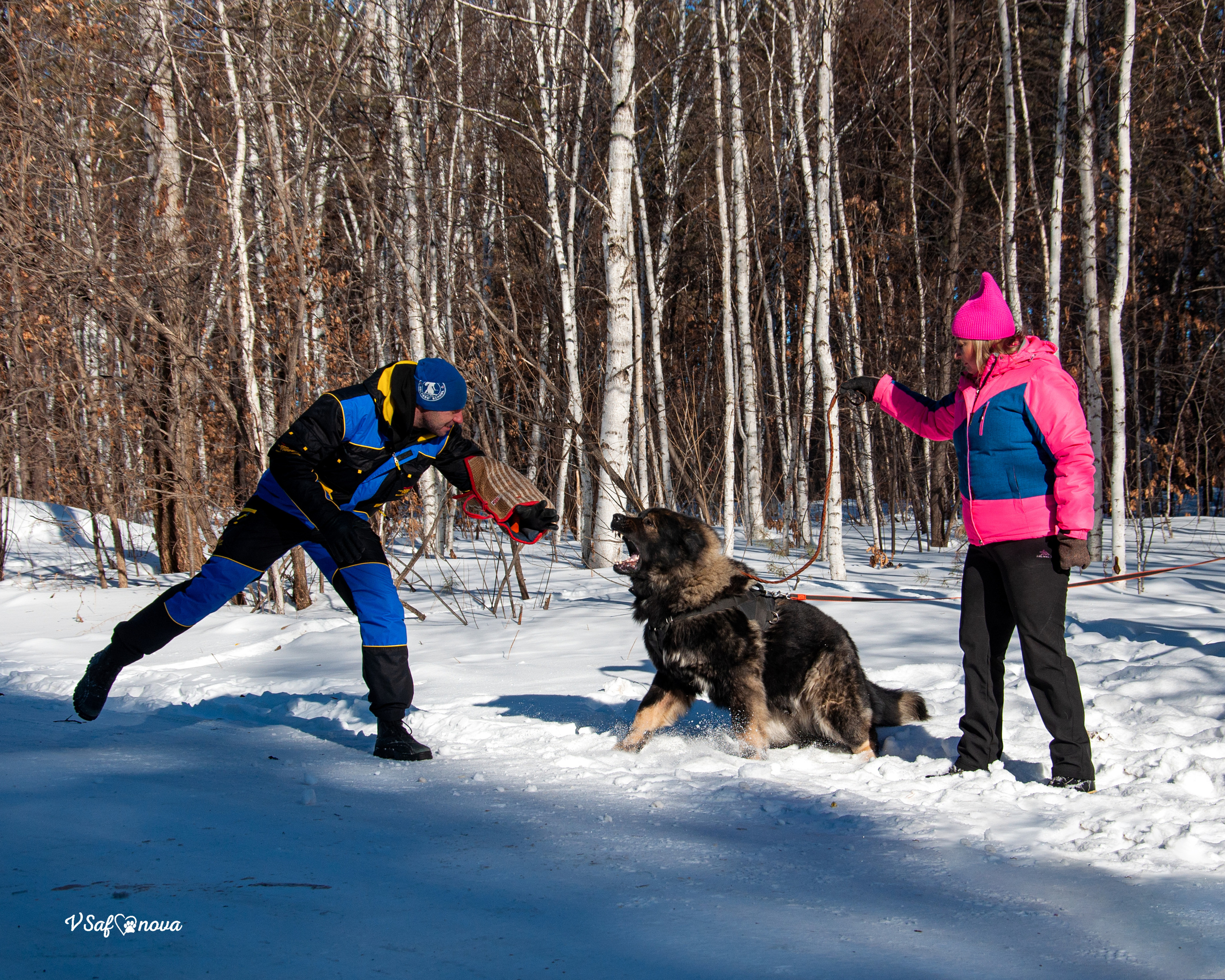 ЗКС Кайрат 01.02.2022. Фотограф анималист Благовещенск. Сафонова Виктория