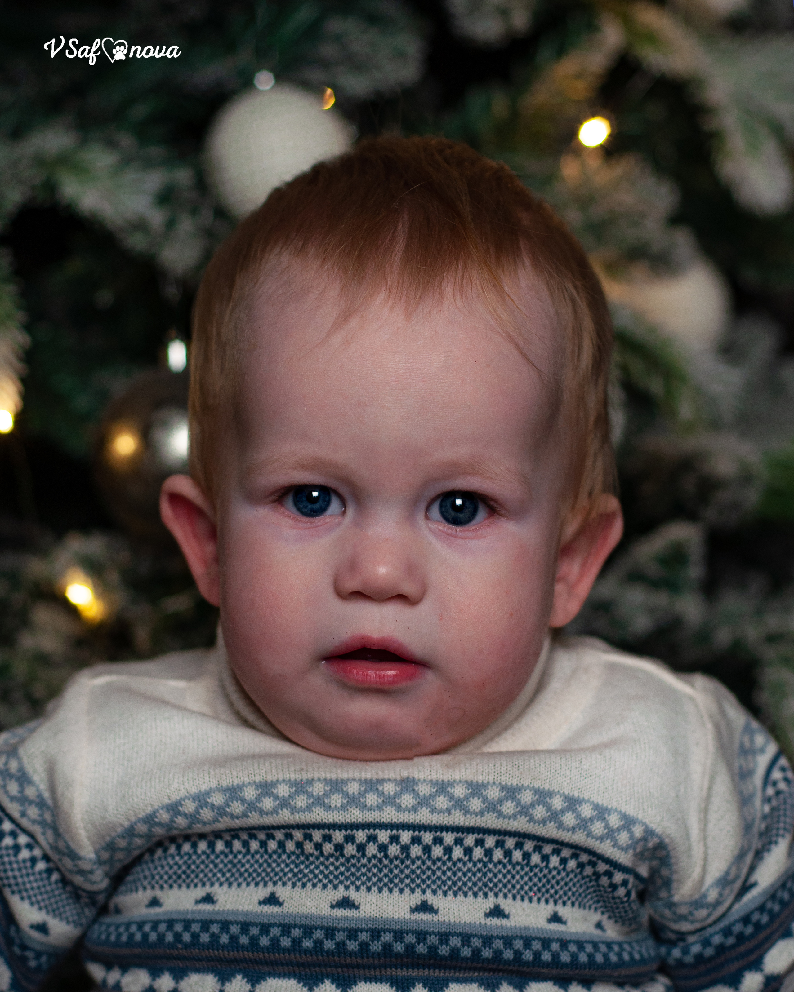 Ёма и Кирюша. Фотограф анималист Благовещенск. Сафонова Виктория