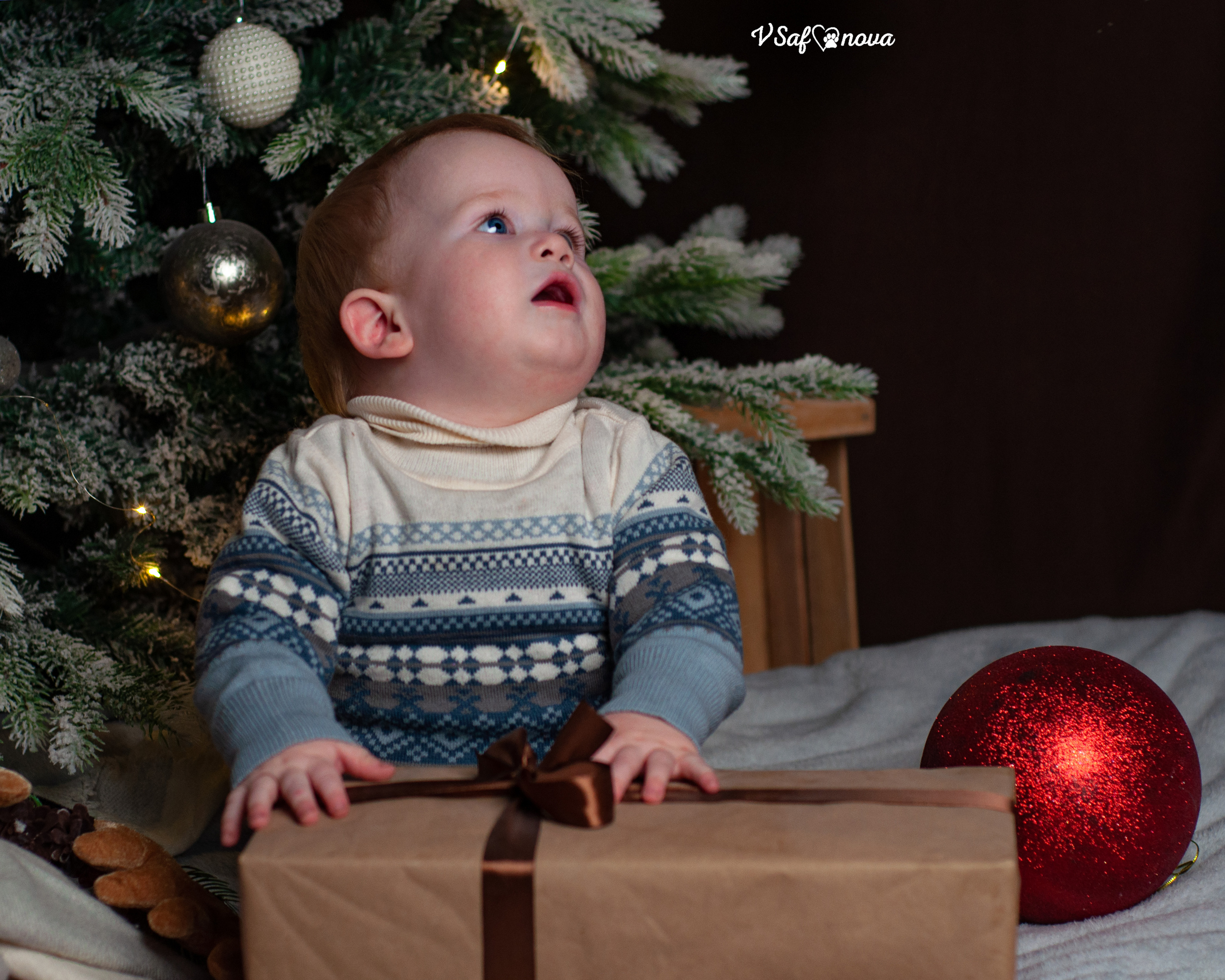 Ёма и Кирюша. Фотограф анималист Благовещенск. Сафонова Виктория