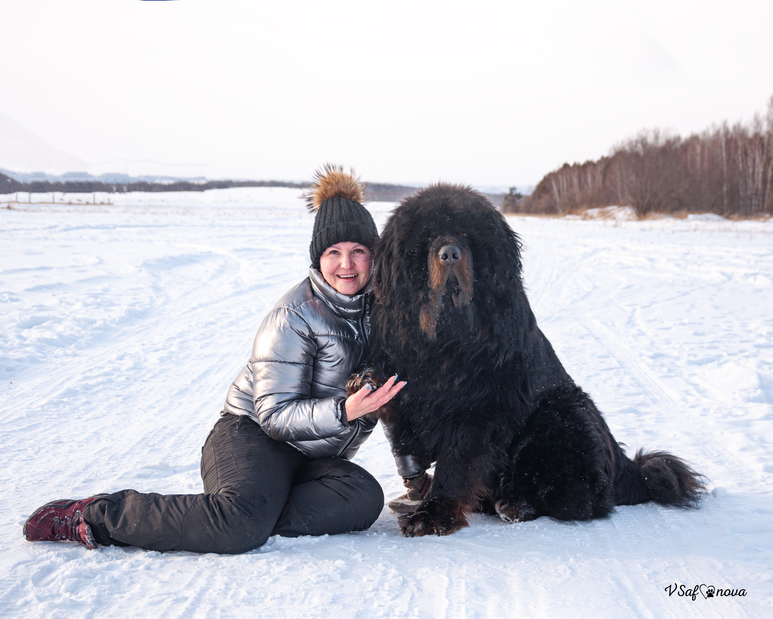 Ира и Ричи 29.01.2022. Фотограф анималист Благовещенск. Сафонова Виктория