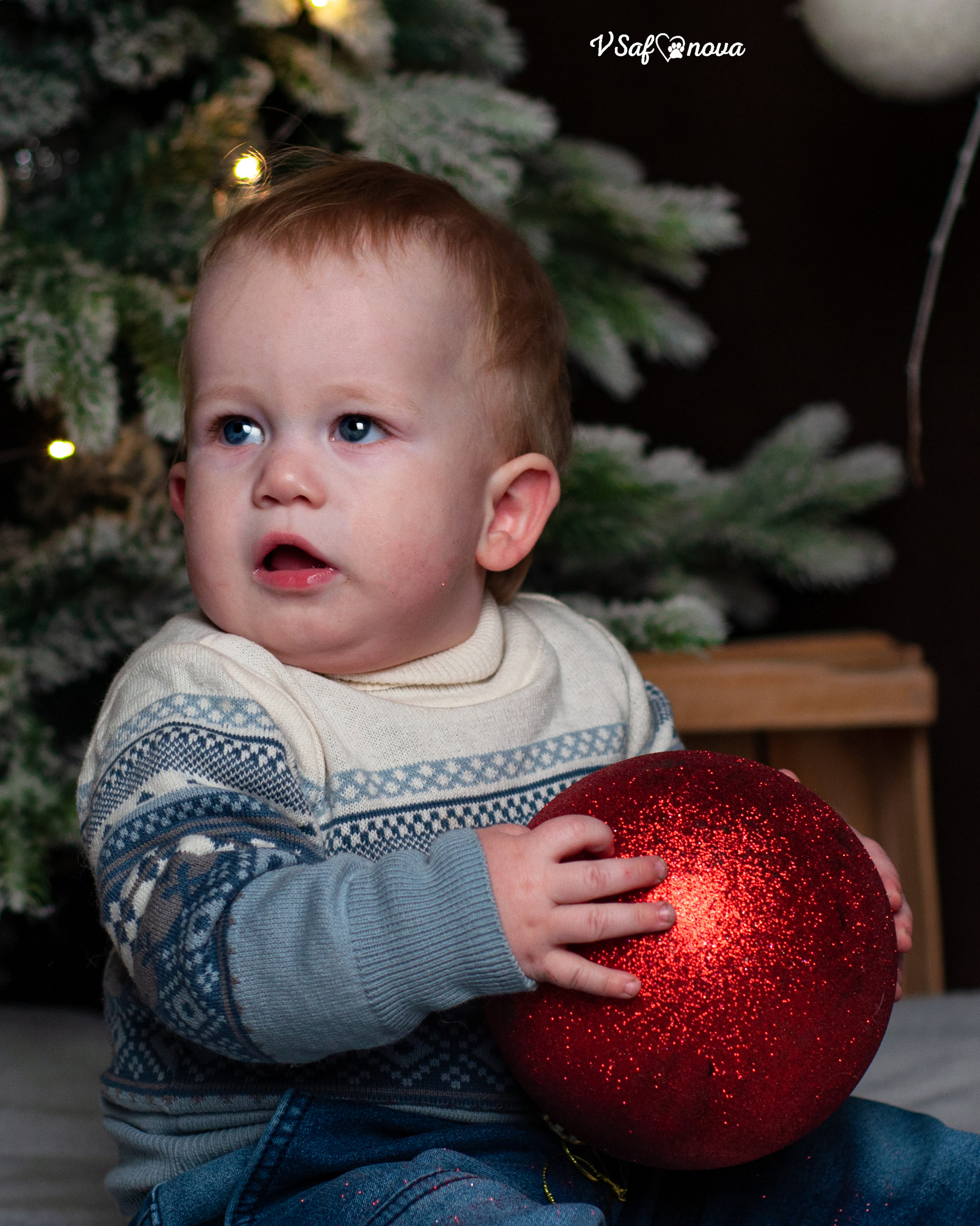 Ёма и Кирюша. Фотограф анималист Благовещенск. Сафонова Виктория