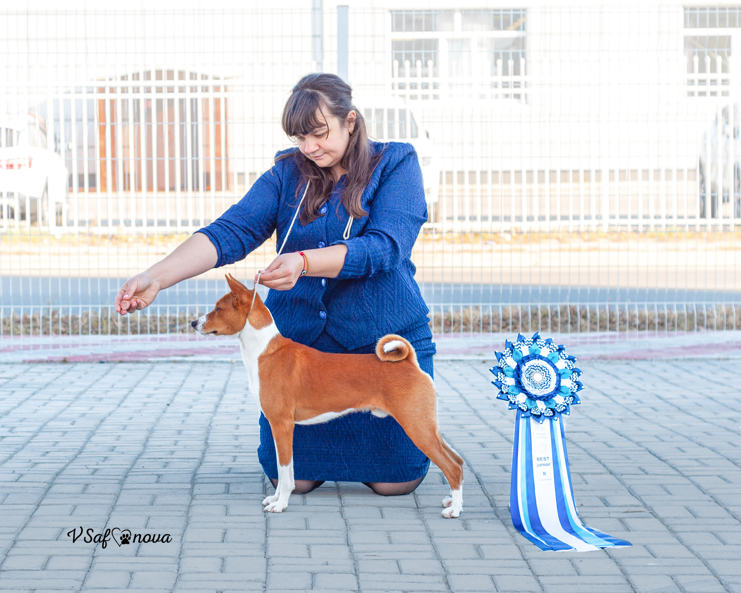 24 октября 2021 Благовещенск. Фотограф анималист Благовещенск. Сафонова Виктория