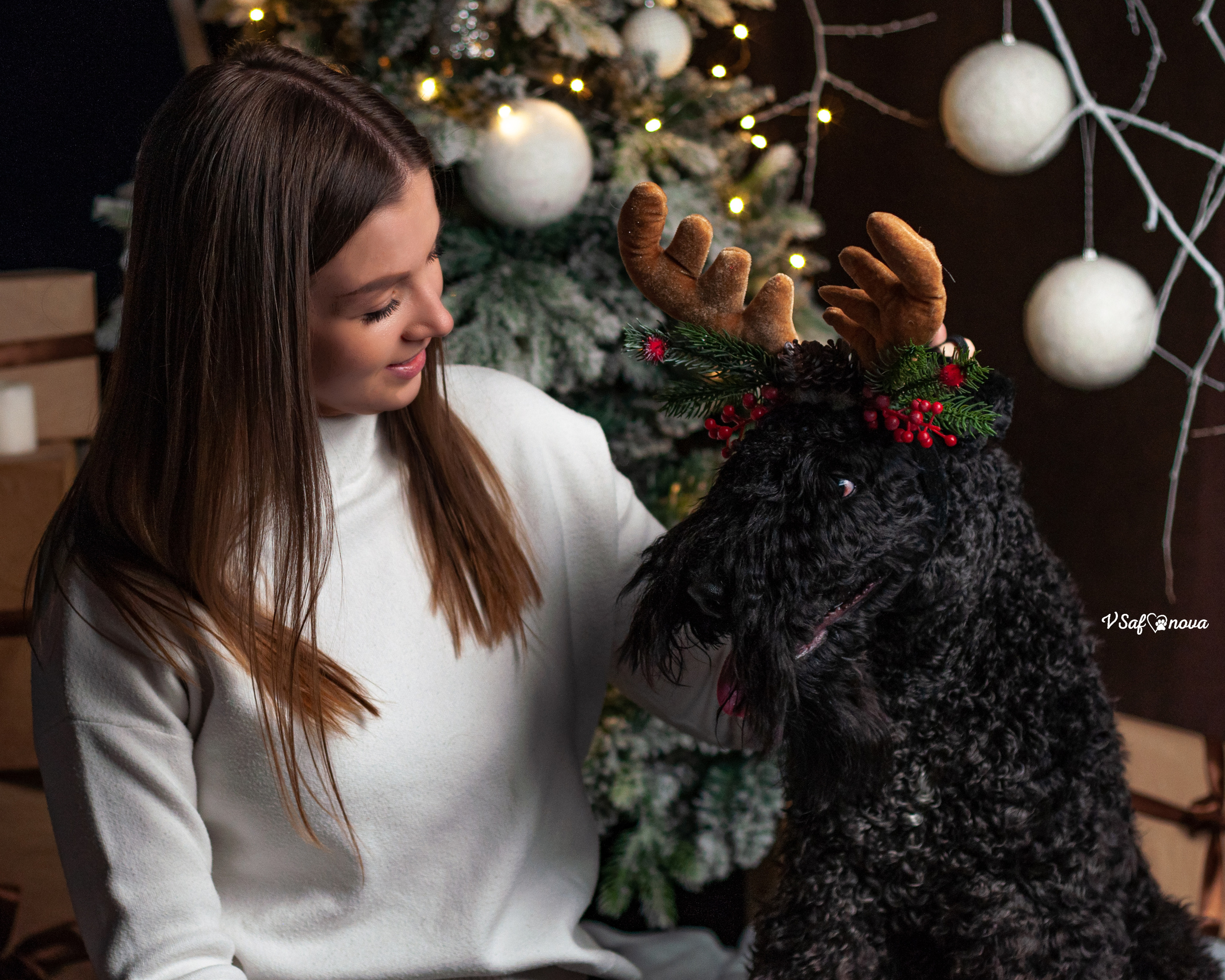 Гоша и Аня. Фотограф анималист Благовещенск. Сафонова Виктория