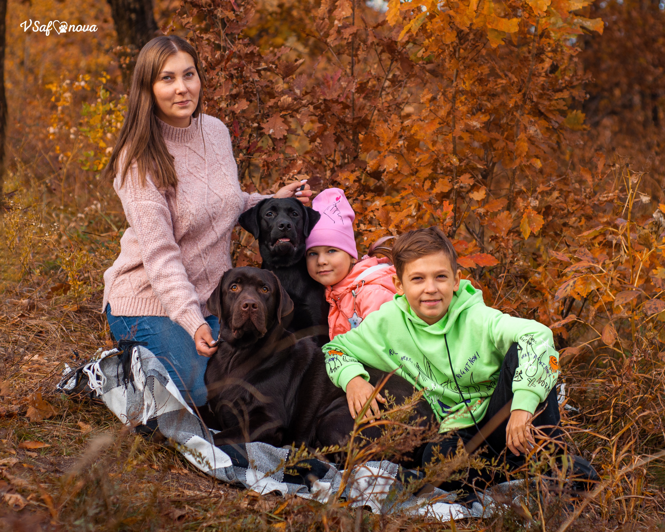 Саша и лабрадоры 03.10.2021. Фотограф анималист Благовещенск. Сафонова Виктория