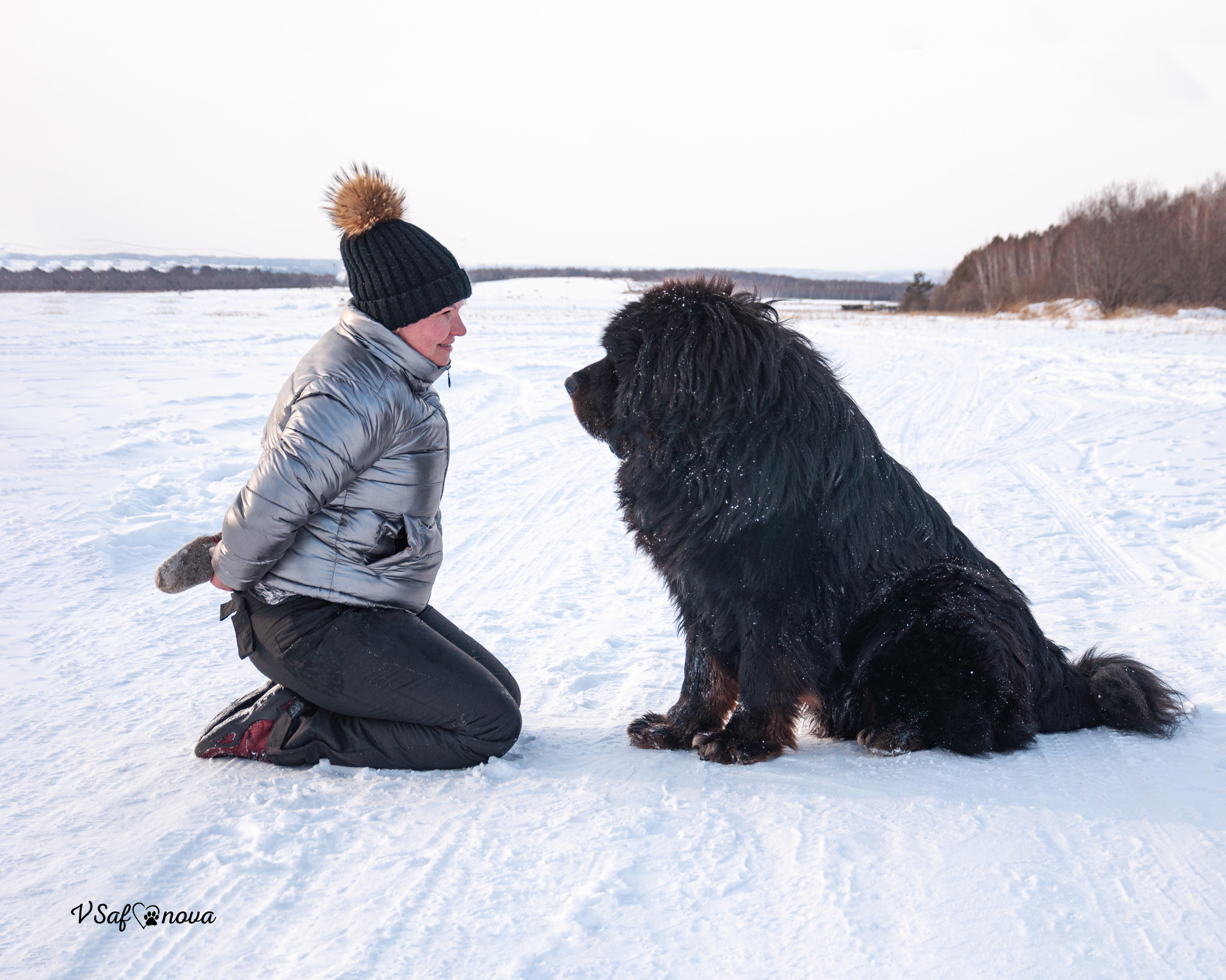 Ира и Ричи 29.01.2022. Фотограф анималист Благовещенск. Сафонова Виктория
