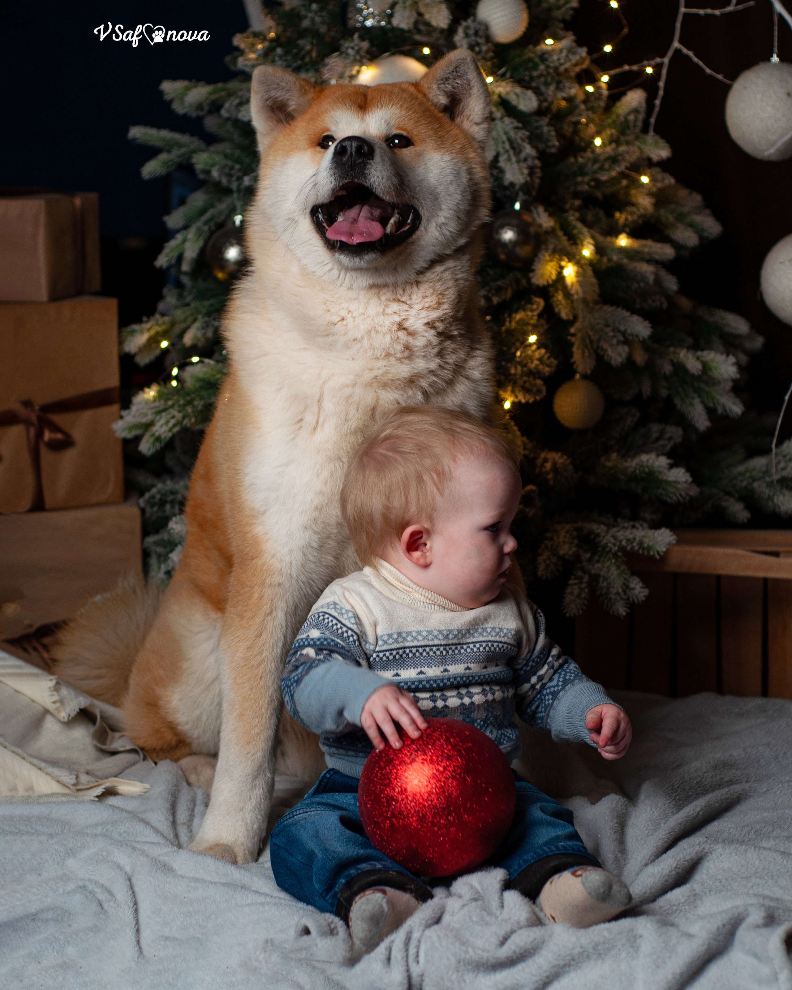 Ёма и Кирюша. Фотограф анималист Благовещенск. Сафонова Виктория