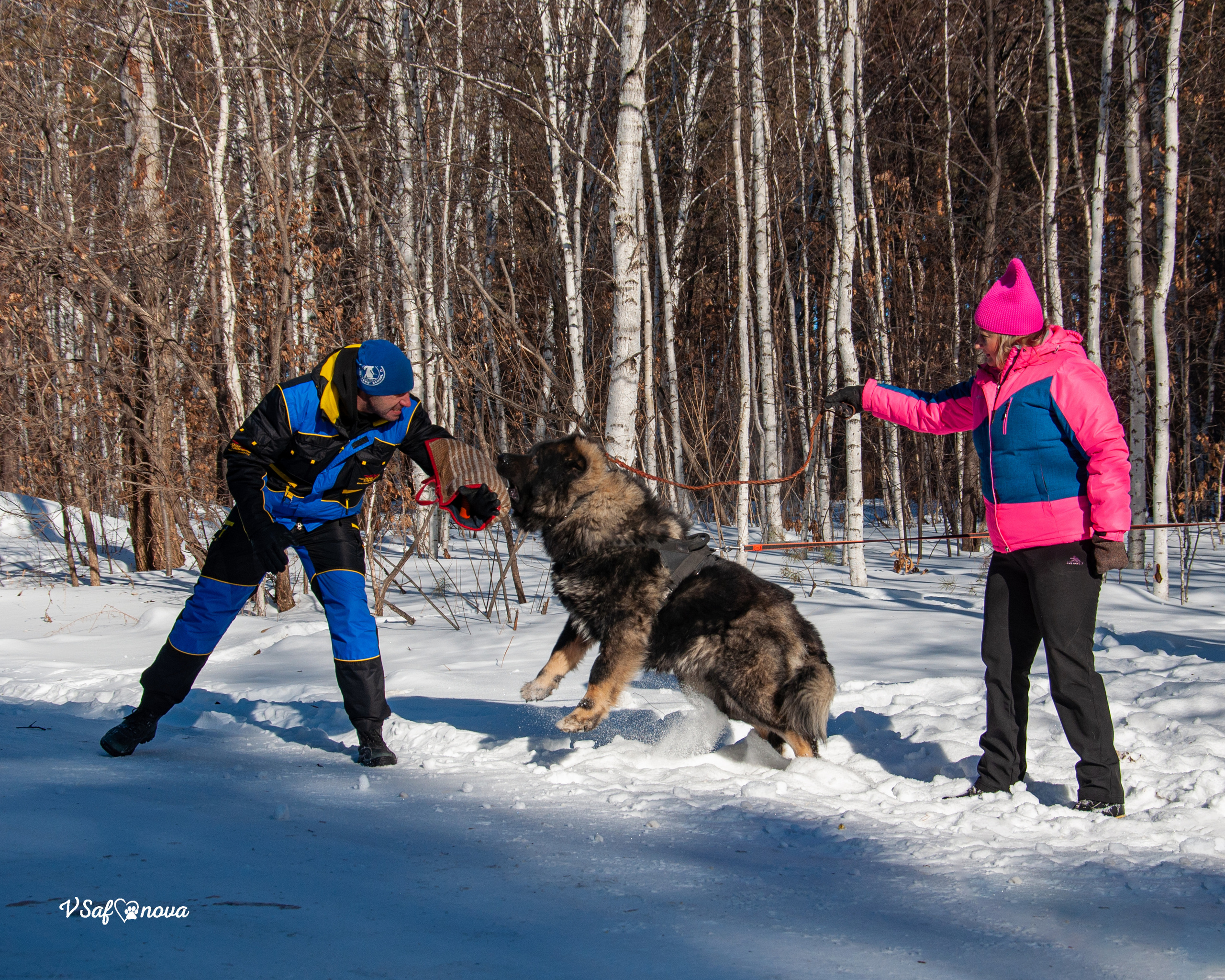 ЗКС Кайрат 01.02.2022. Фотограф анималист Благовещенск. Сафонова Виктория