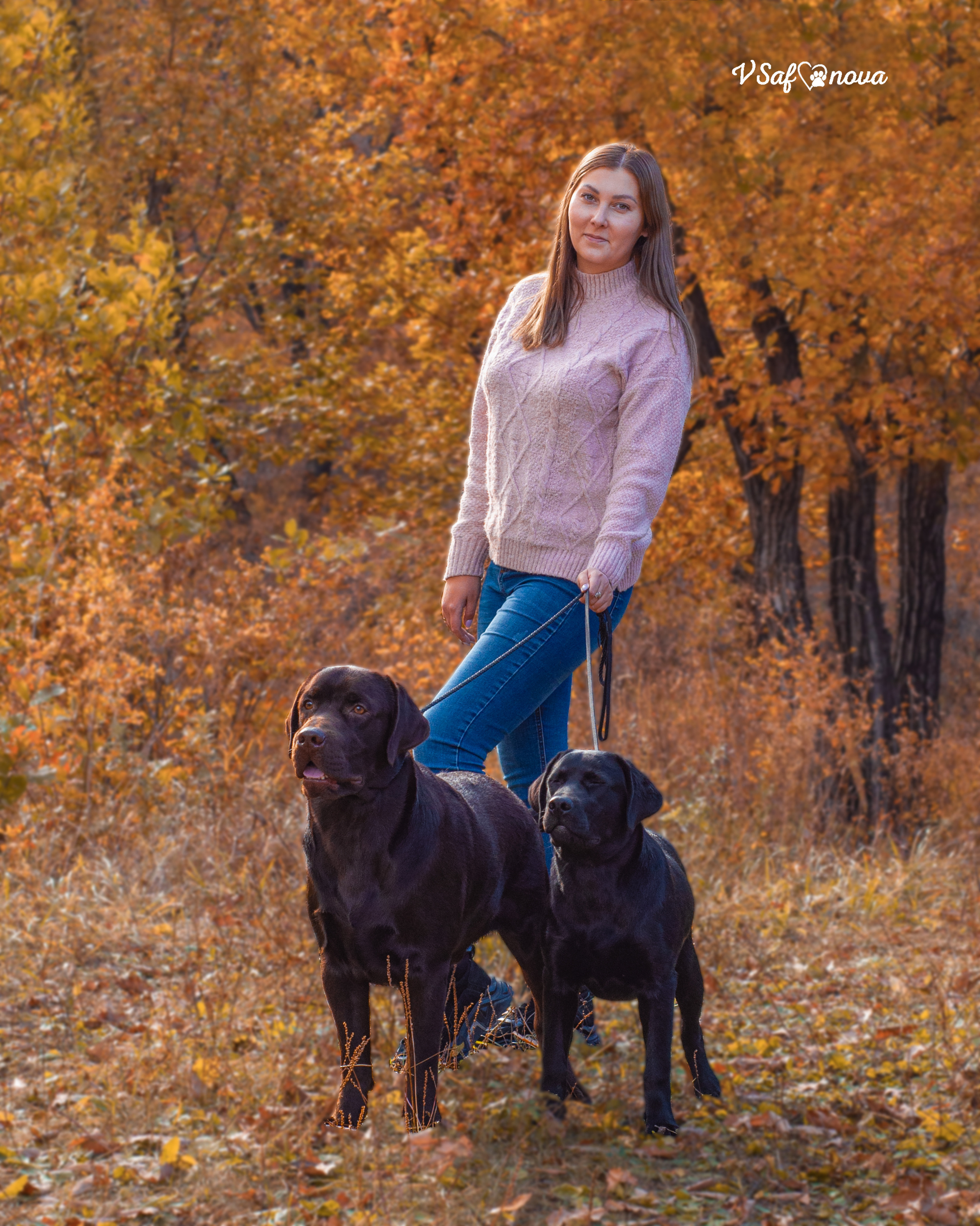 Саша и лабрадоры 03.10.2021. Фотограф анималист Благовещенск. Сафонова Виктория