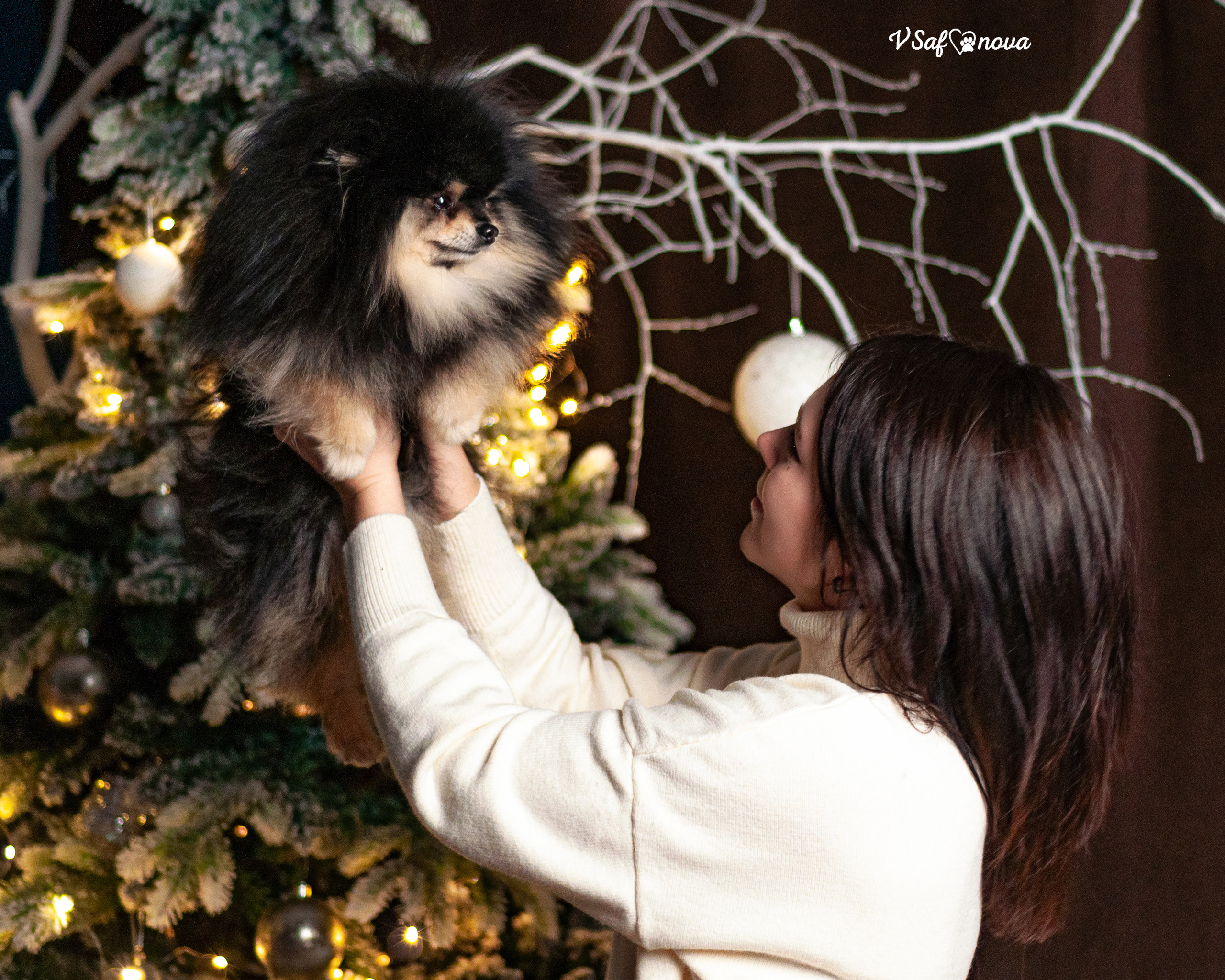 Ральф и Стейси. Фотограф анималист Благовещенск. Сафонова Виктория