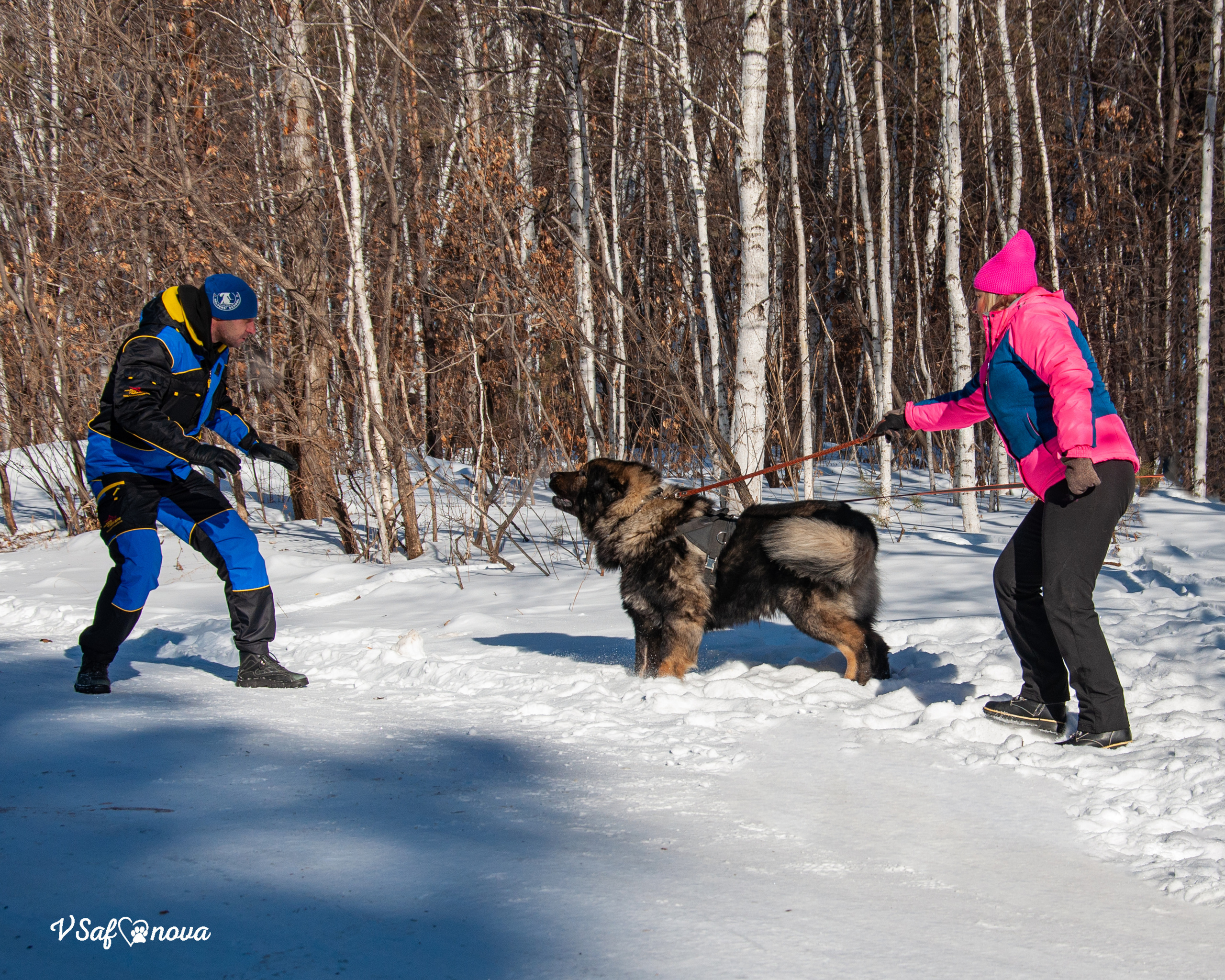 ЗКС Кайрат 01.02.2022. Фотограф анималист Благовещенск. Сафонова Виктория