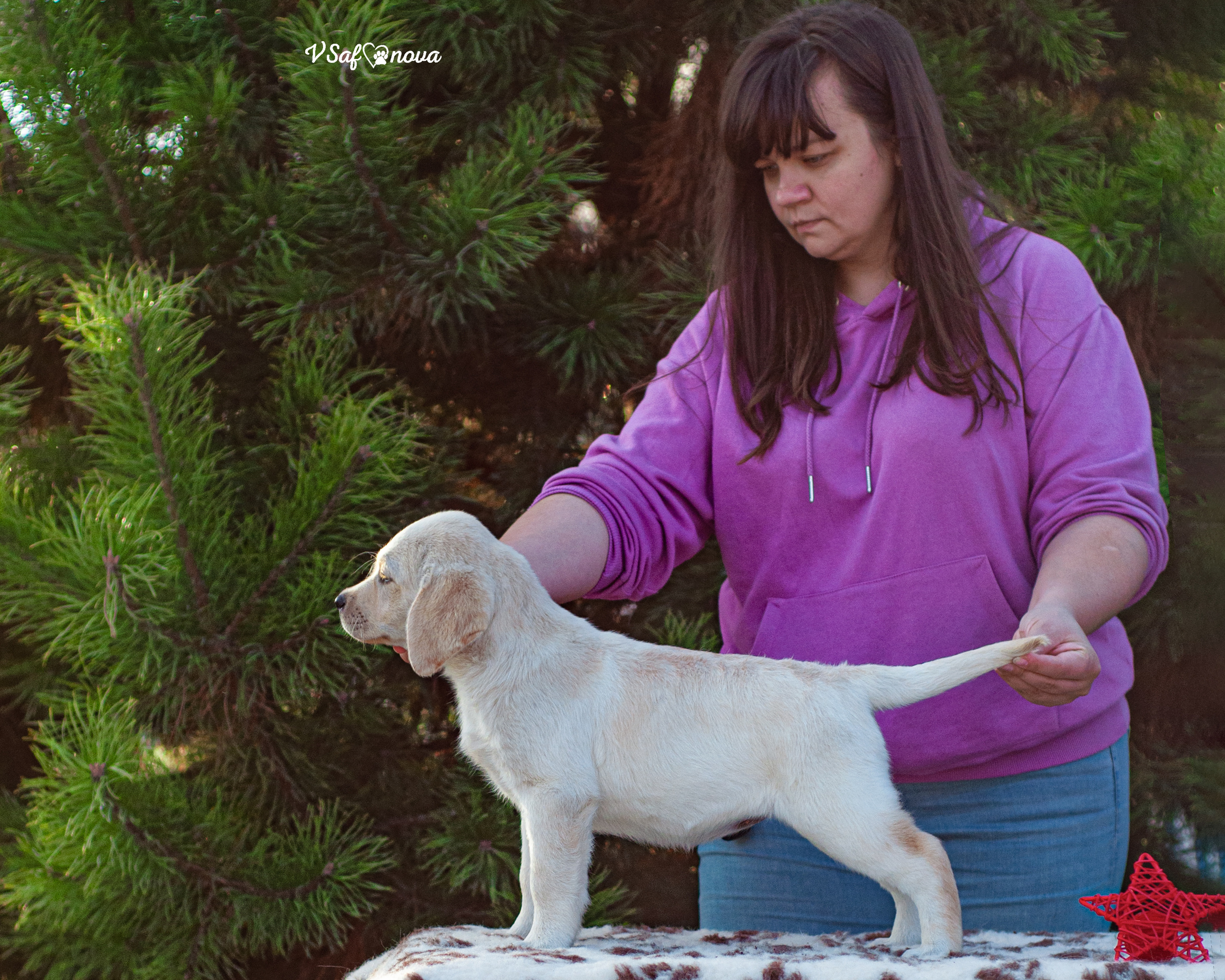 Лабродорчики 26.09.2021. Фотограф анималист Благовещенск. Сафонова Виктория