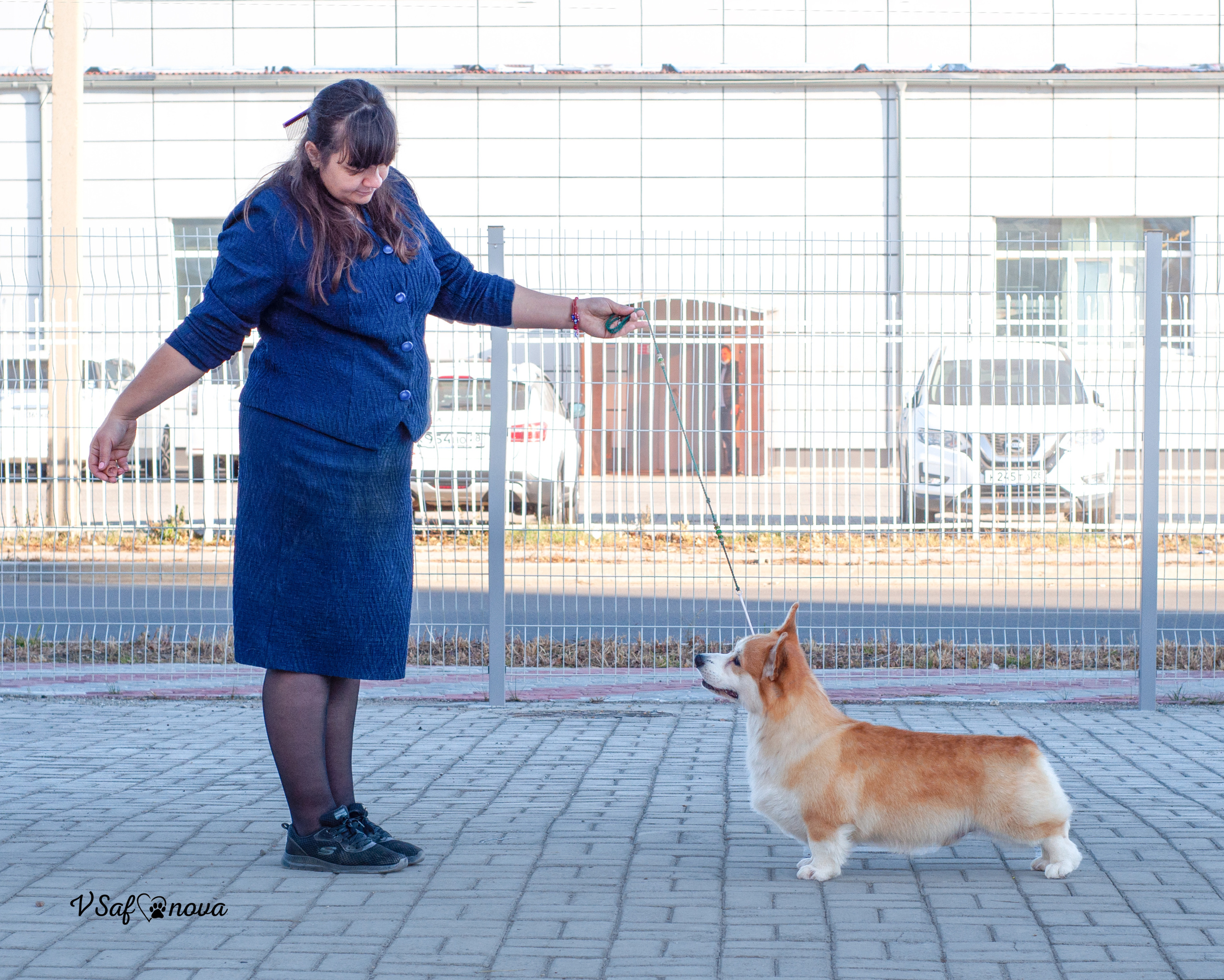 24 октября 2021 Благовещенск. Фотограф анималист Благовещенск. Сафонова Виктория