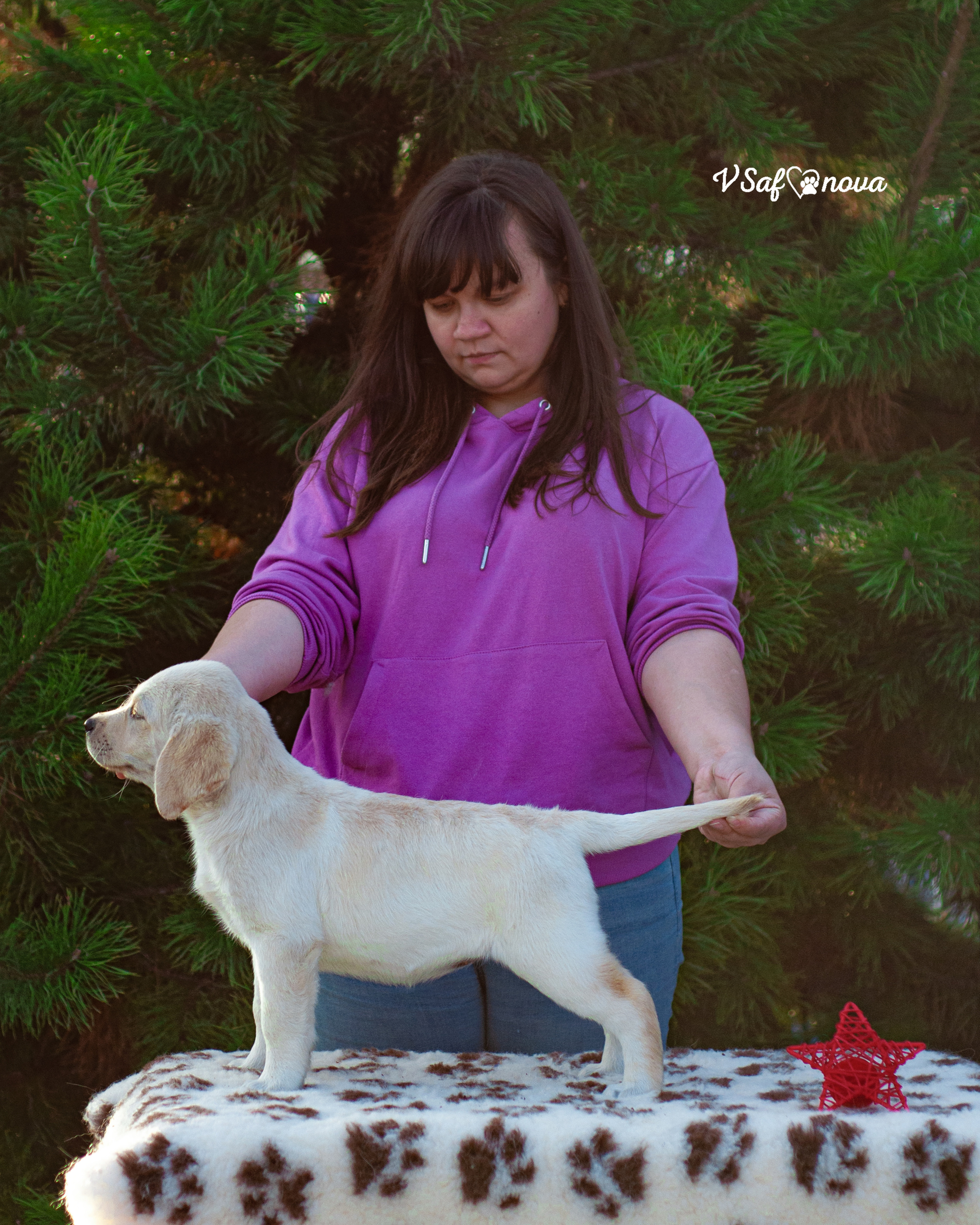 Лабродорчики 26.09.2021. Фотограф анималист Благовещенск. Сафонова Виктория