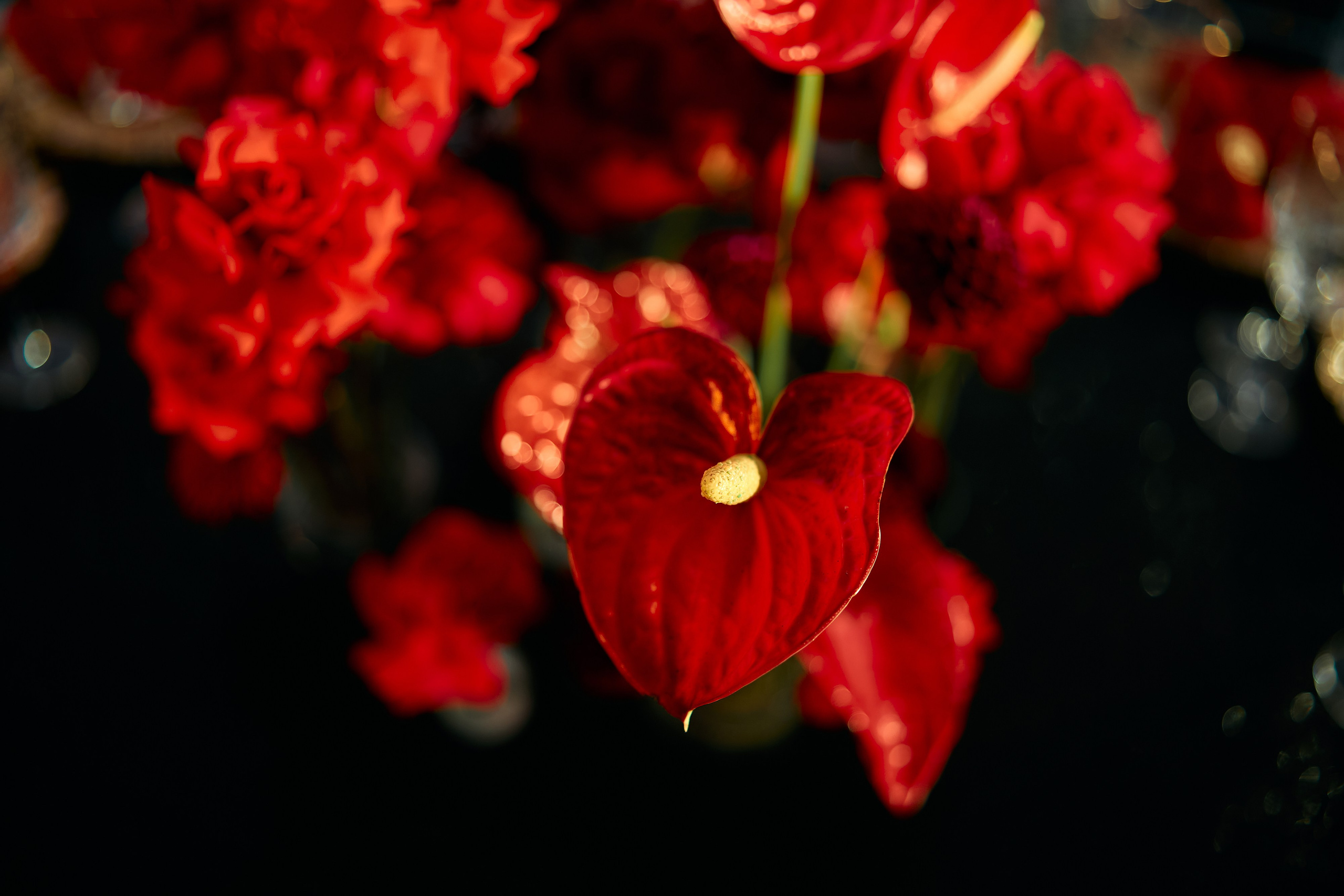 NIVA — день строителя. Свадебный фотограф Минск РБ