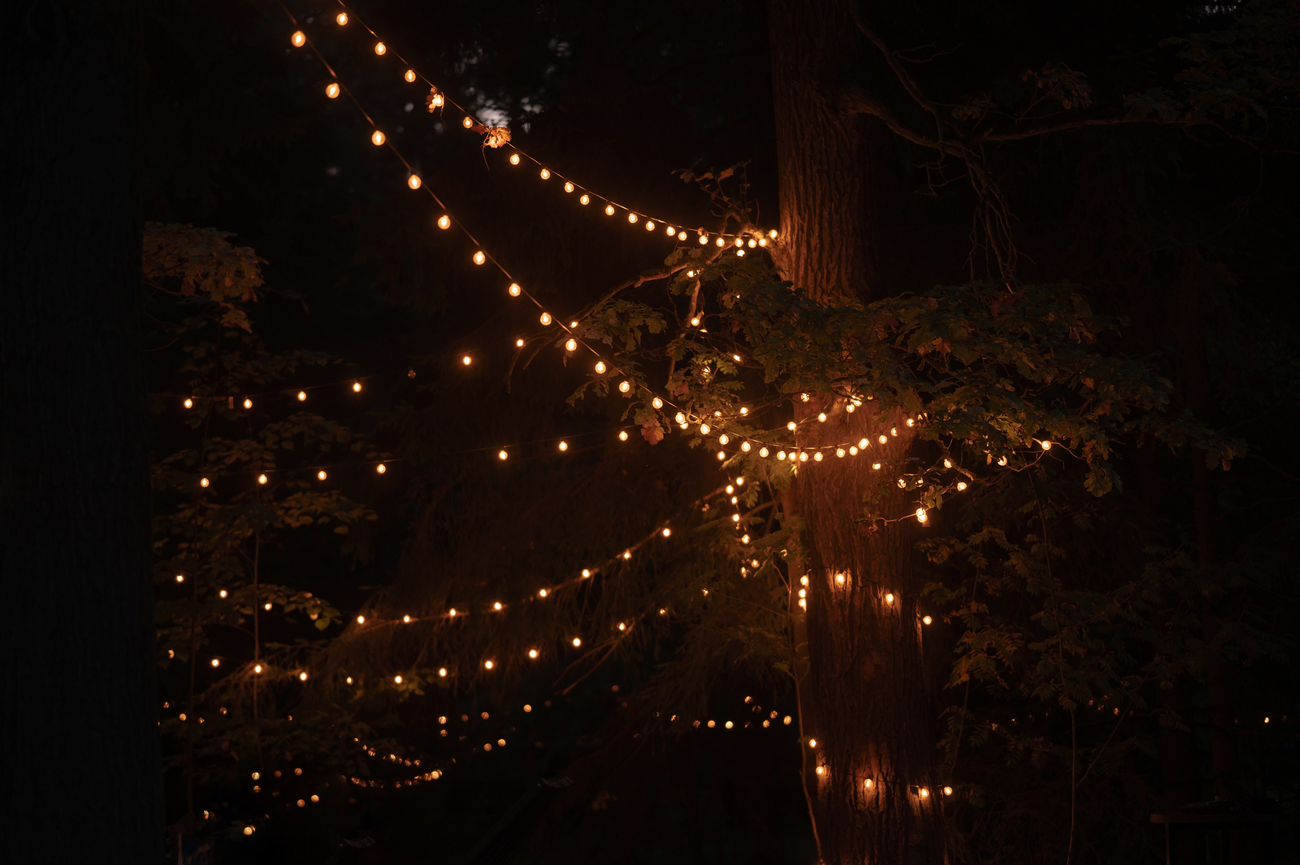 Еще сильнее я в тебя все равно не влюблюсь. VENSKAYA WEDDING & EVENT PLANNER