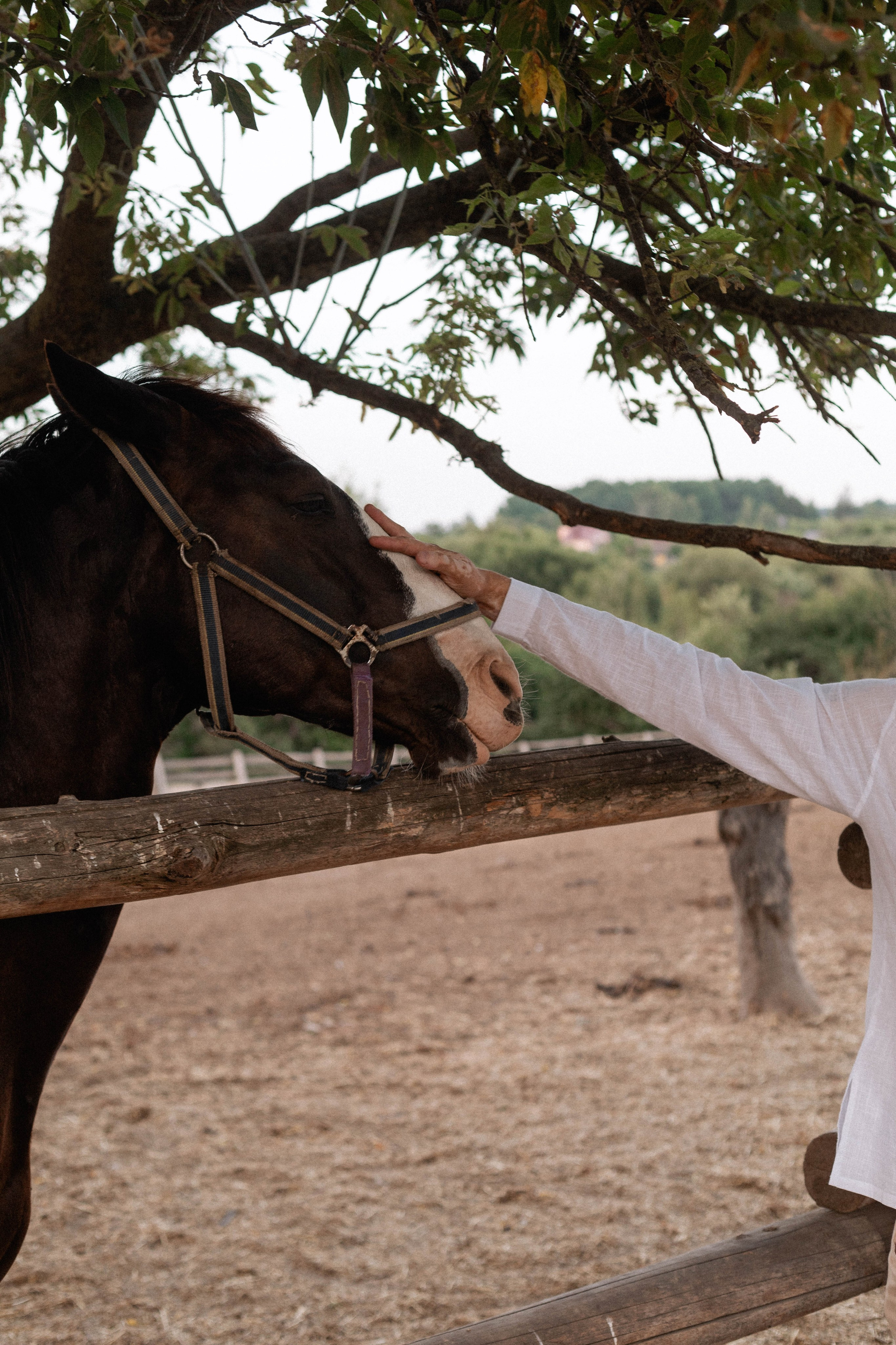Годик Нине. Свадебный и портретный фотограф Соломко Диана