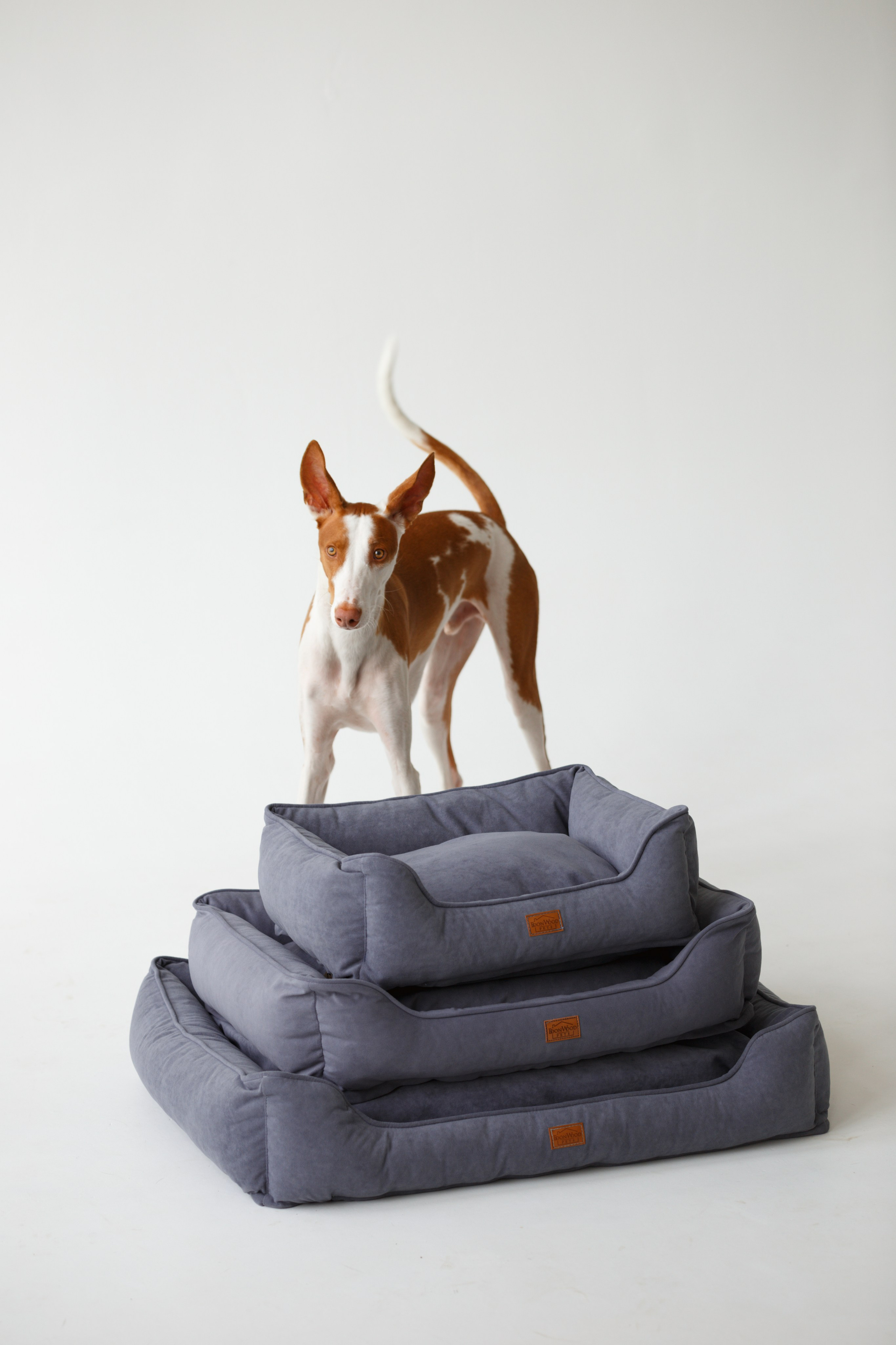 Boonwood Pets лежанки для животных. Фотограф анималист Кристина Карпова, Москва