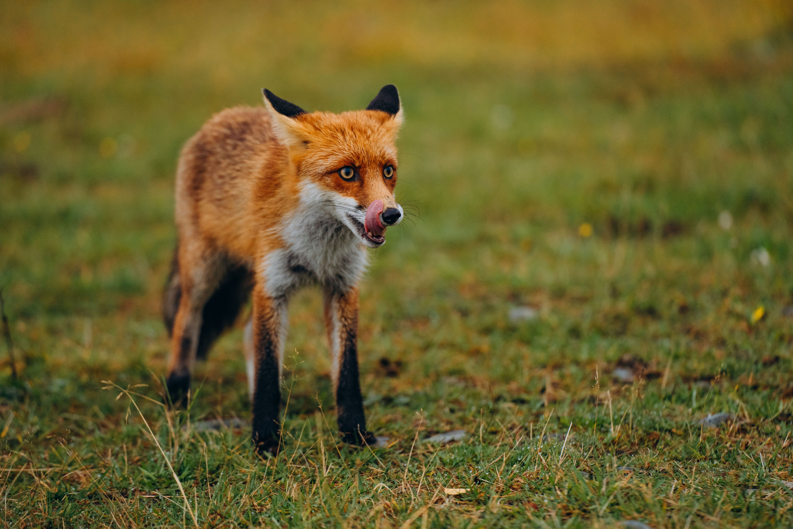 СЕВЕР. Event фотограф Степанова Александра