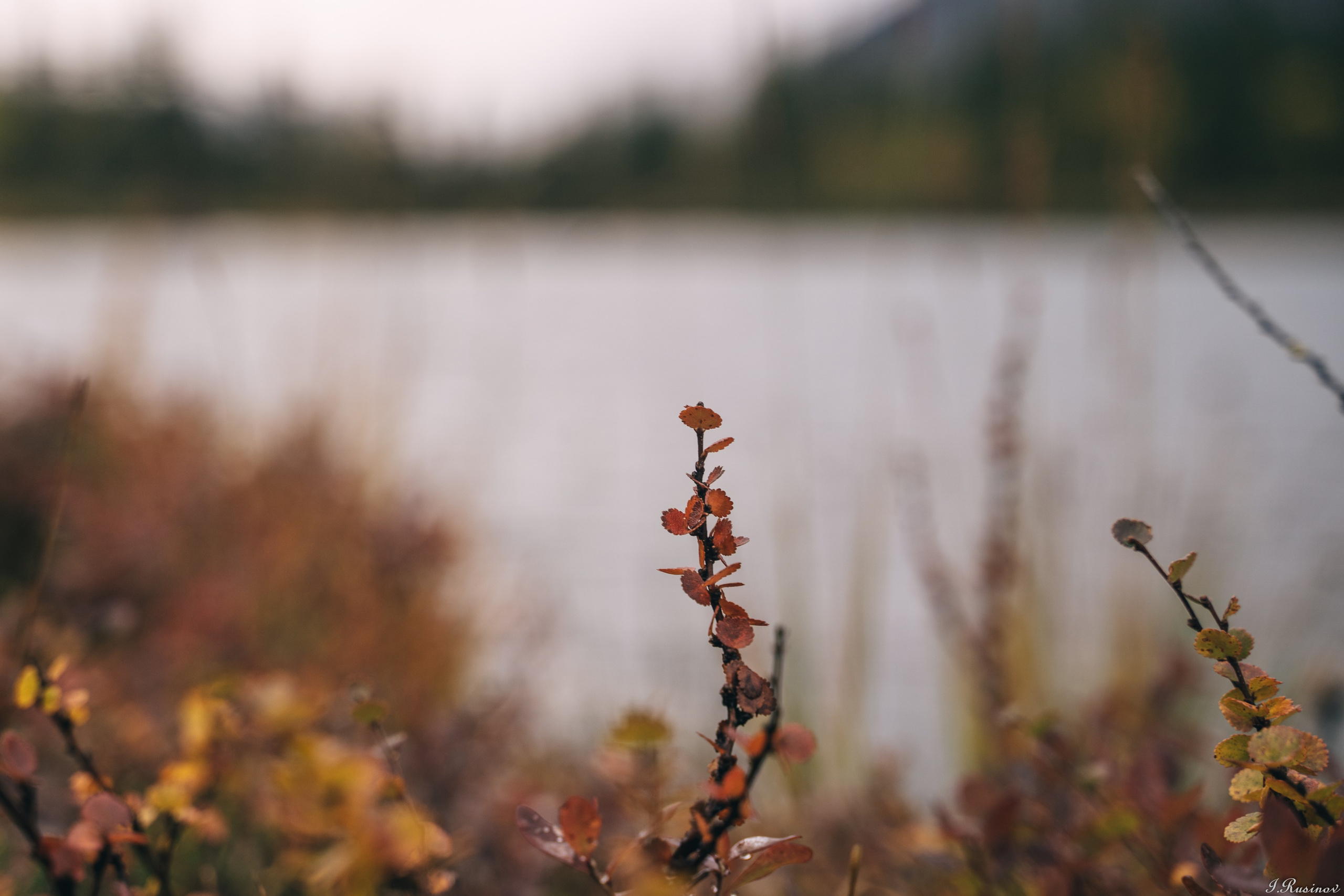ХИБИНЫ 2021 г. Event фотограф Степанова Александра