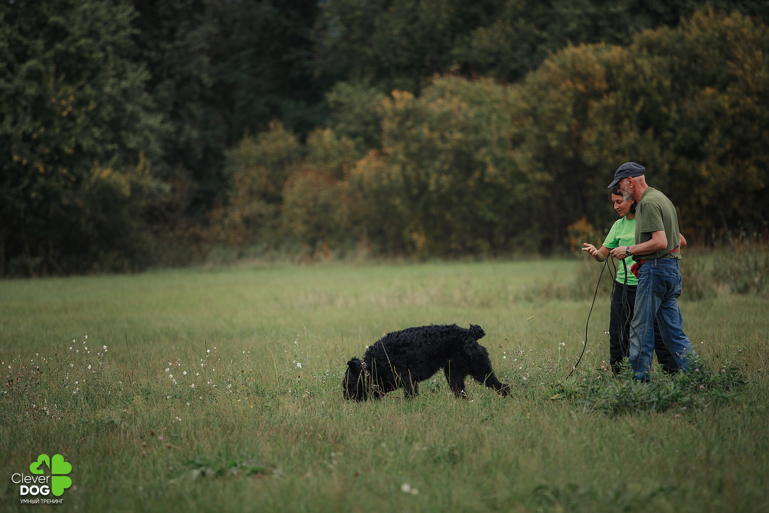 Кинологический лагерь CleverDog, 2024. Фотограф-анималист Mary Mart — Москва, Питер