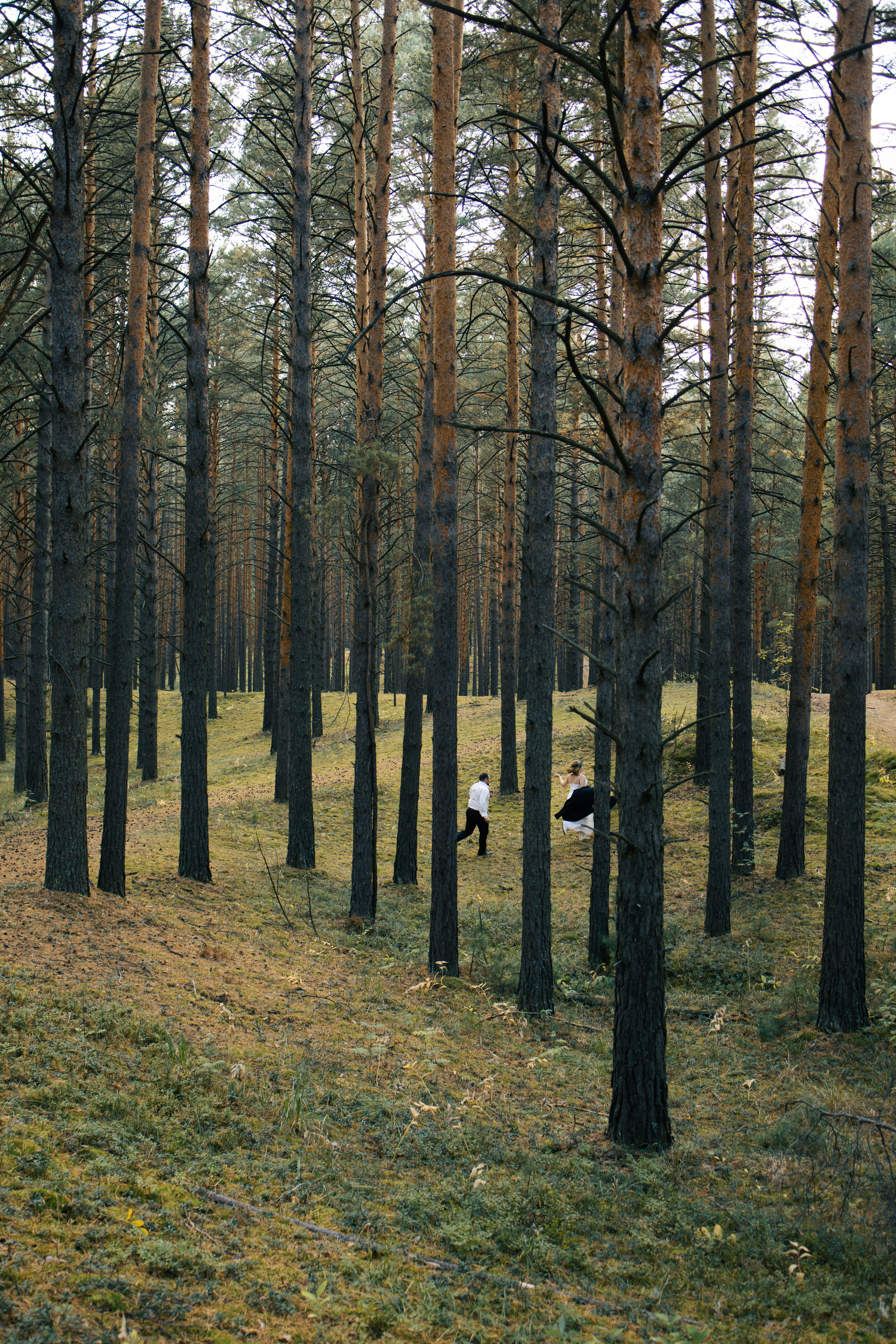 Ксения и Илья. Екатерина Пашкова, фотограф, видеограф в Томске